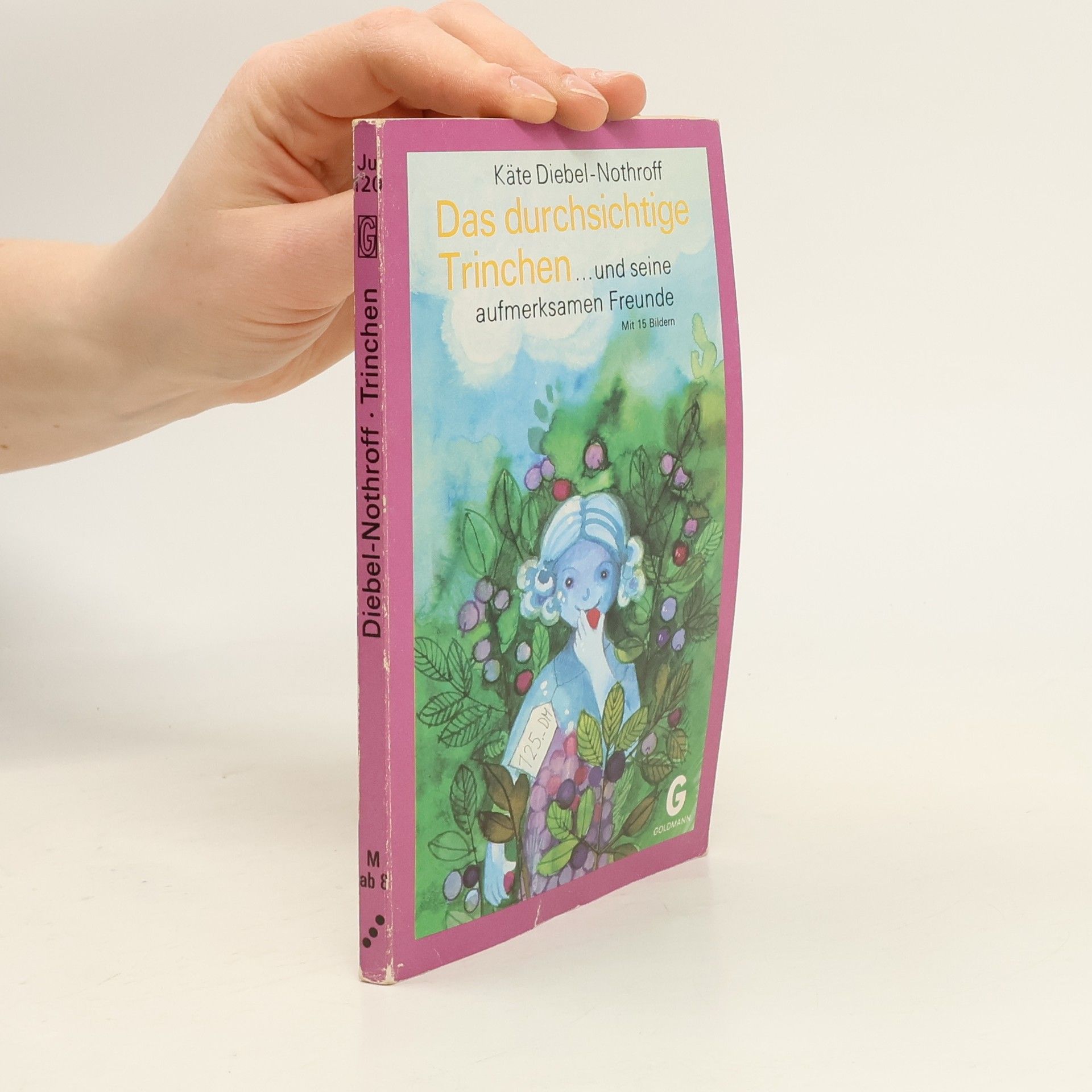 Käte Diebel-Nothroff Das durchsichtige Trinchen ... und seine aufmerksamen Freunde