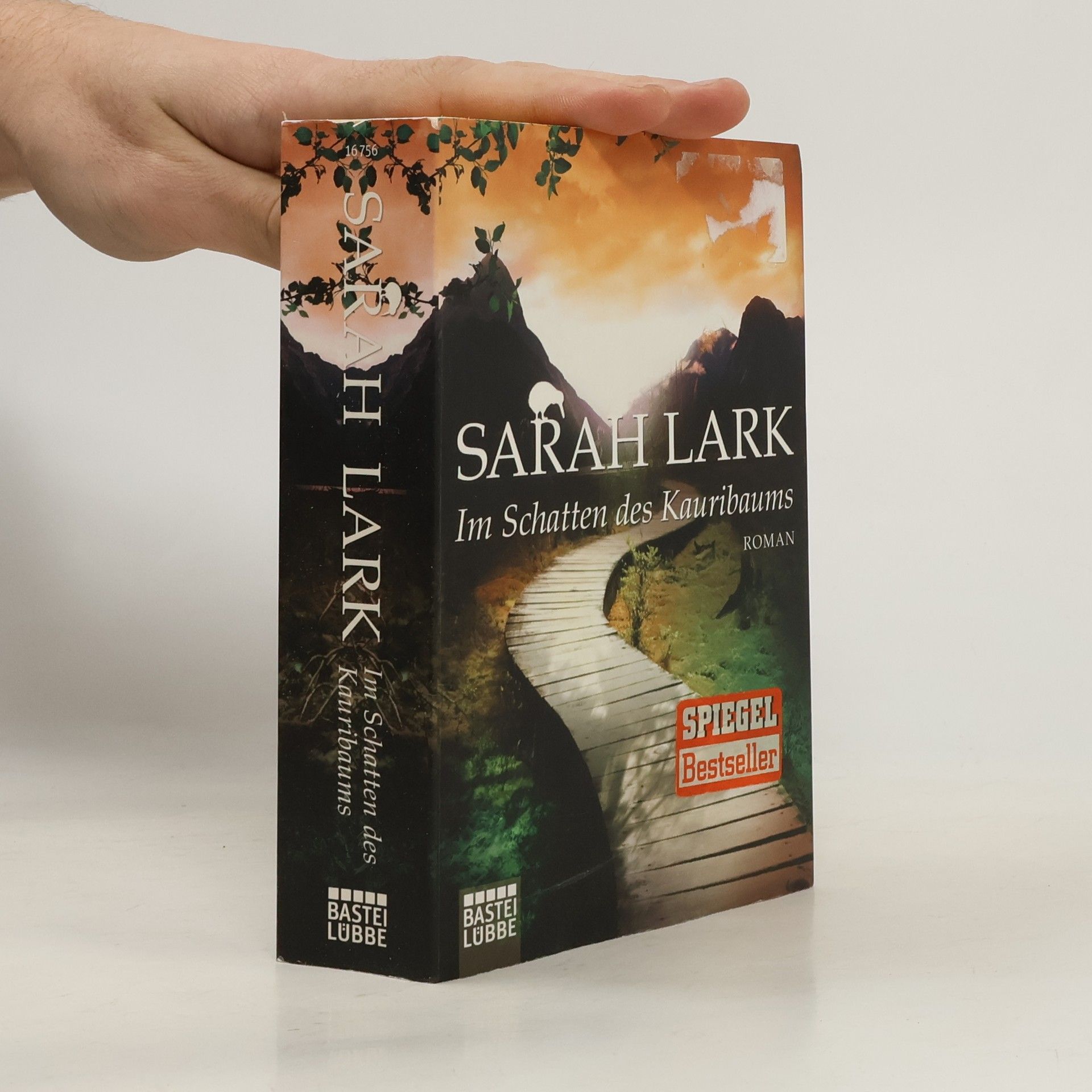 Christiane Gohl Im Schatten des Kauribaums