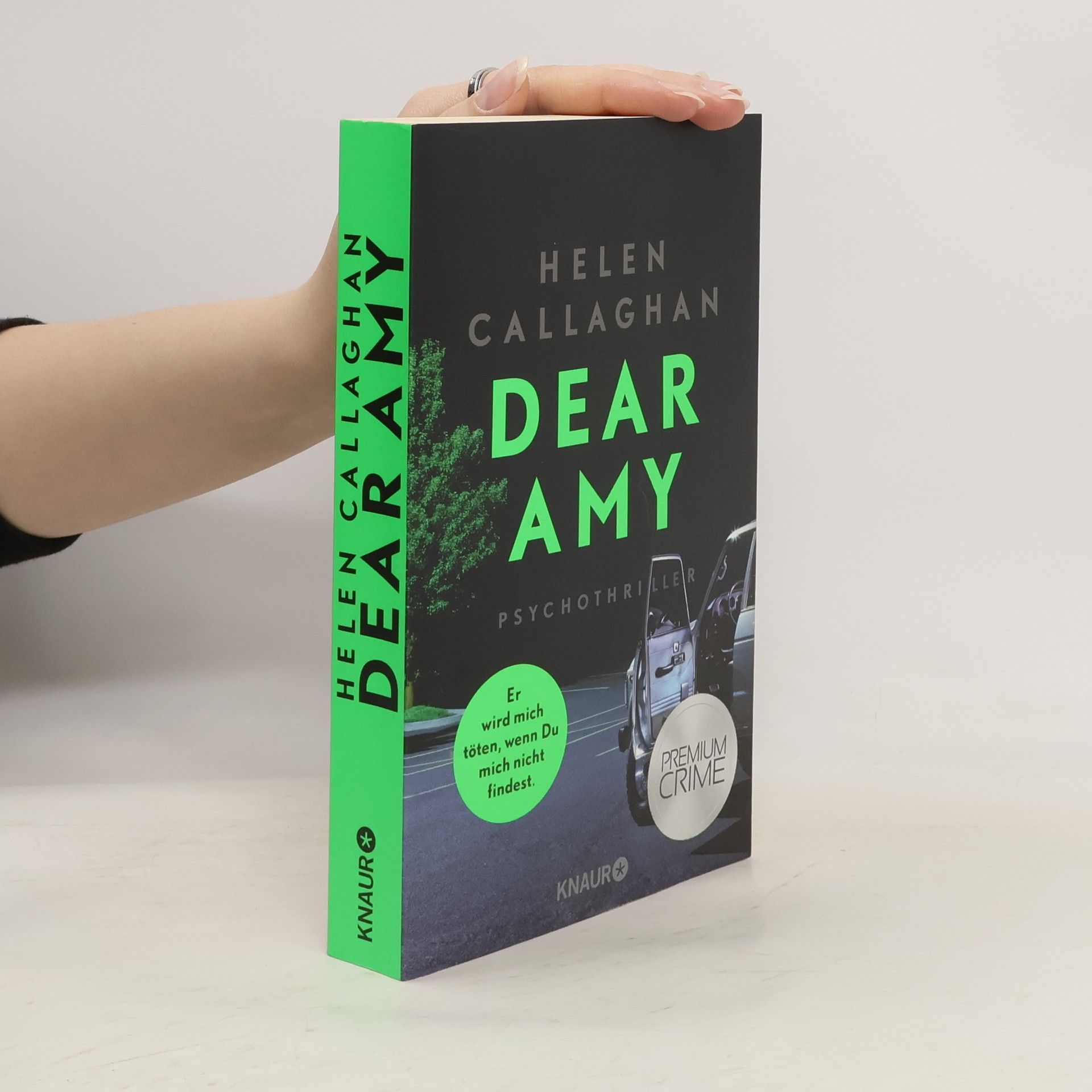 Helen Callaghan Dear Amy