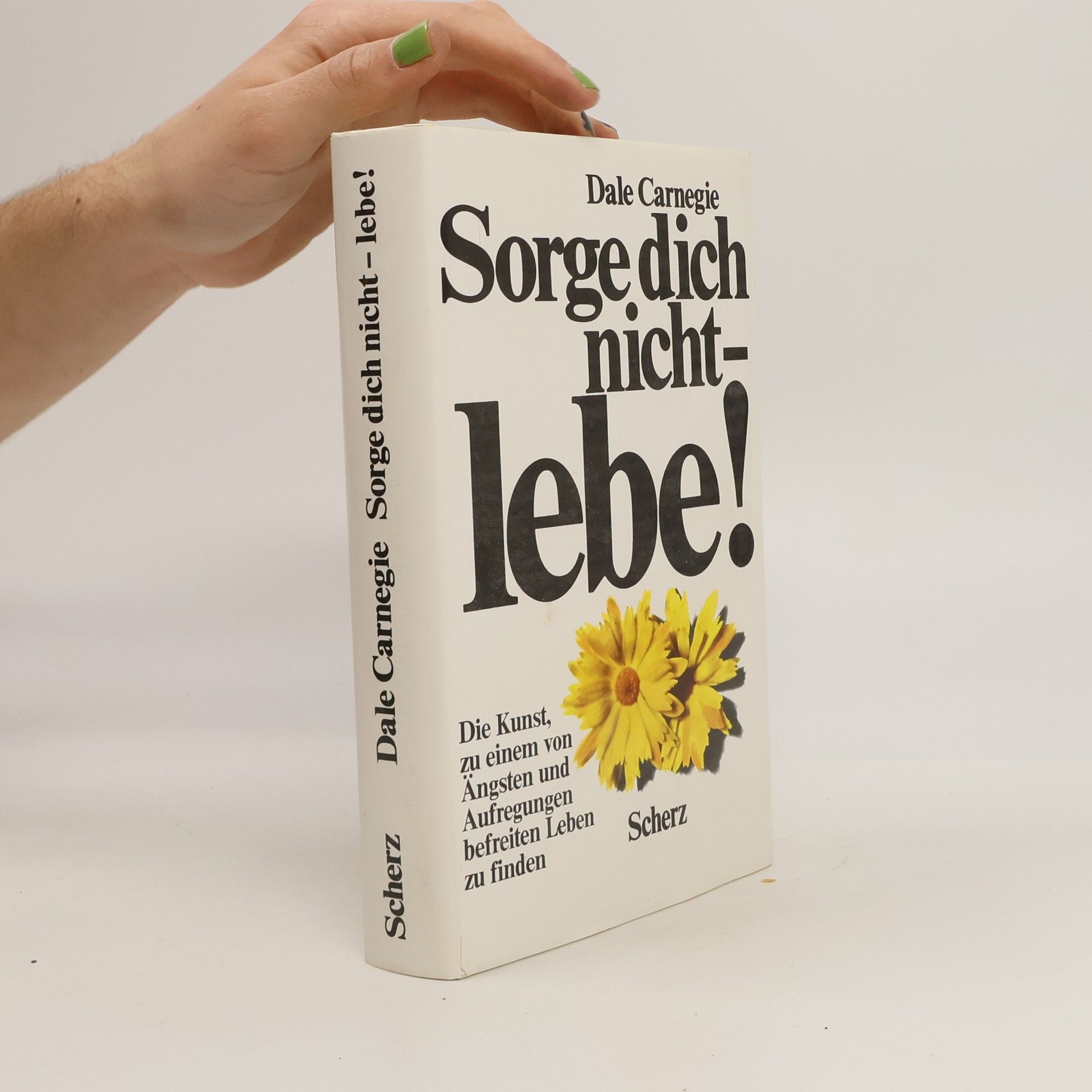 Dale Carnegie Sorge dich nicht - lebe!
