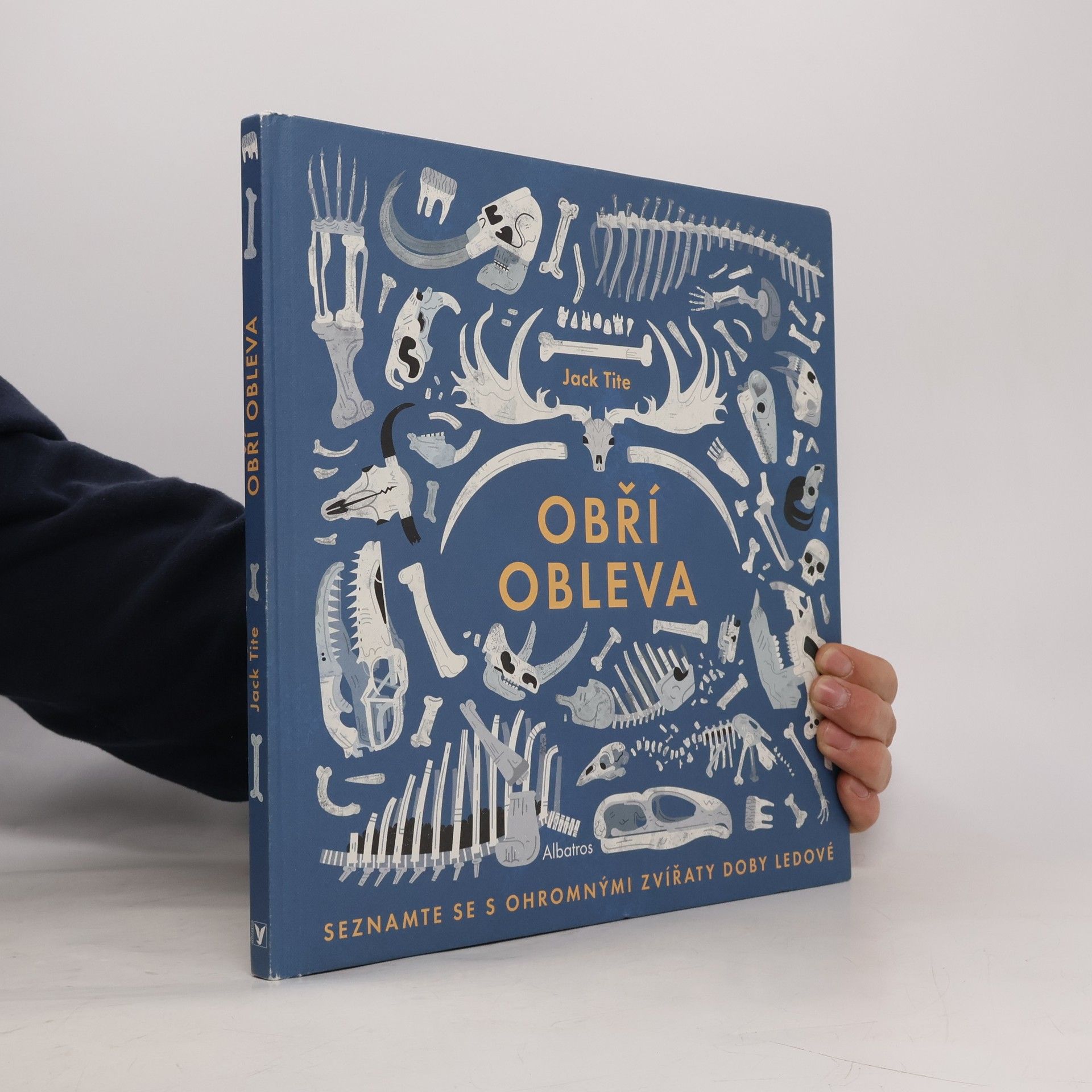 Jack Tite Obří obleva