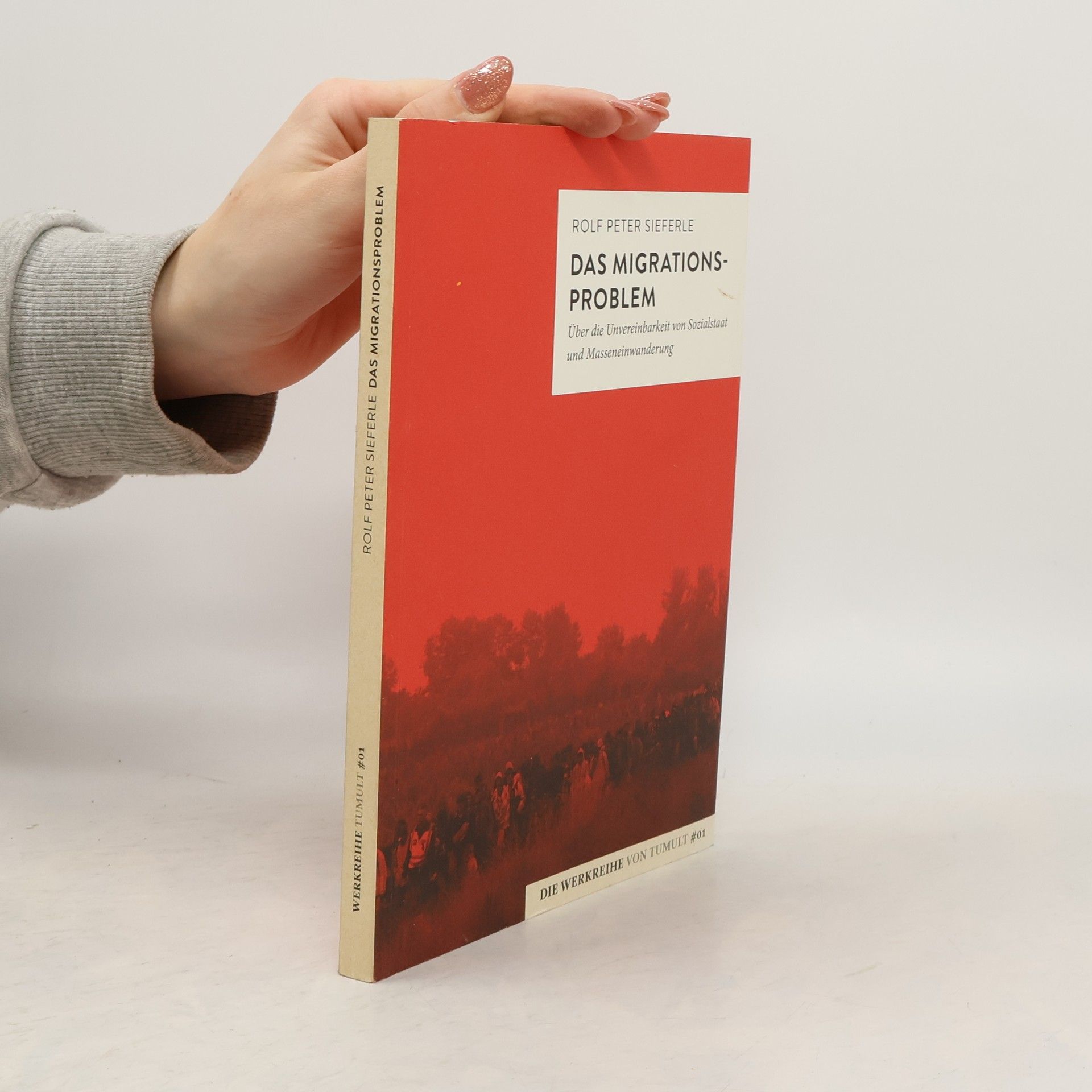 Rolf Peter Sieferle Das Migrationsproblem