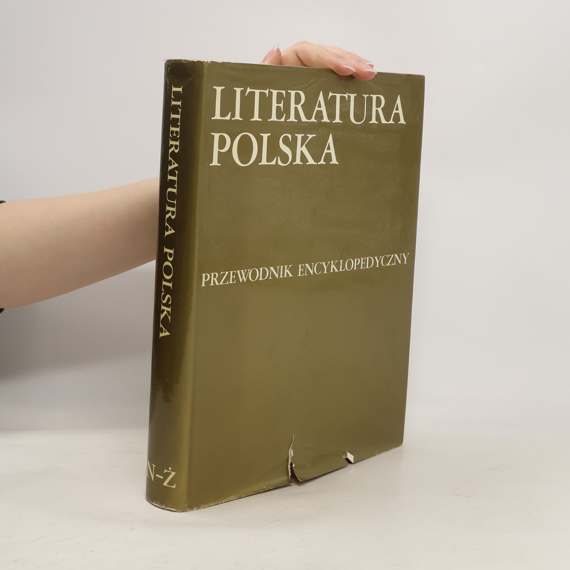 Julian Krzyżanowski Literatura polska