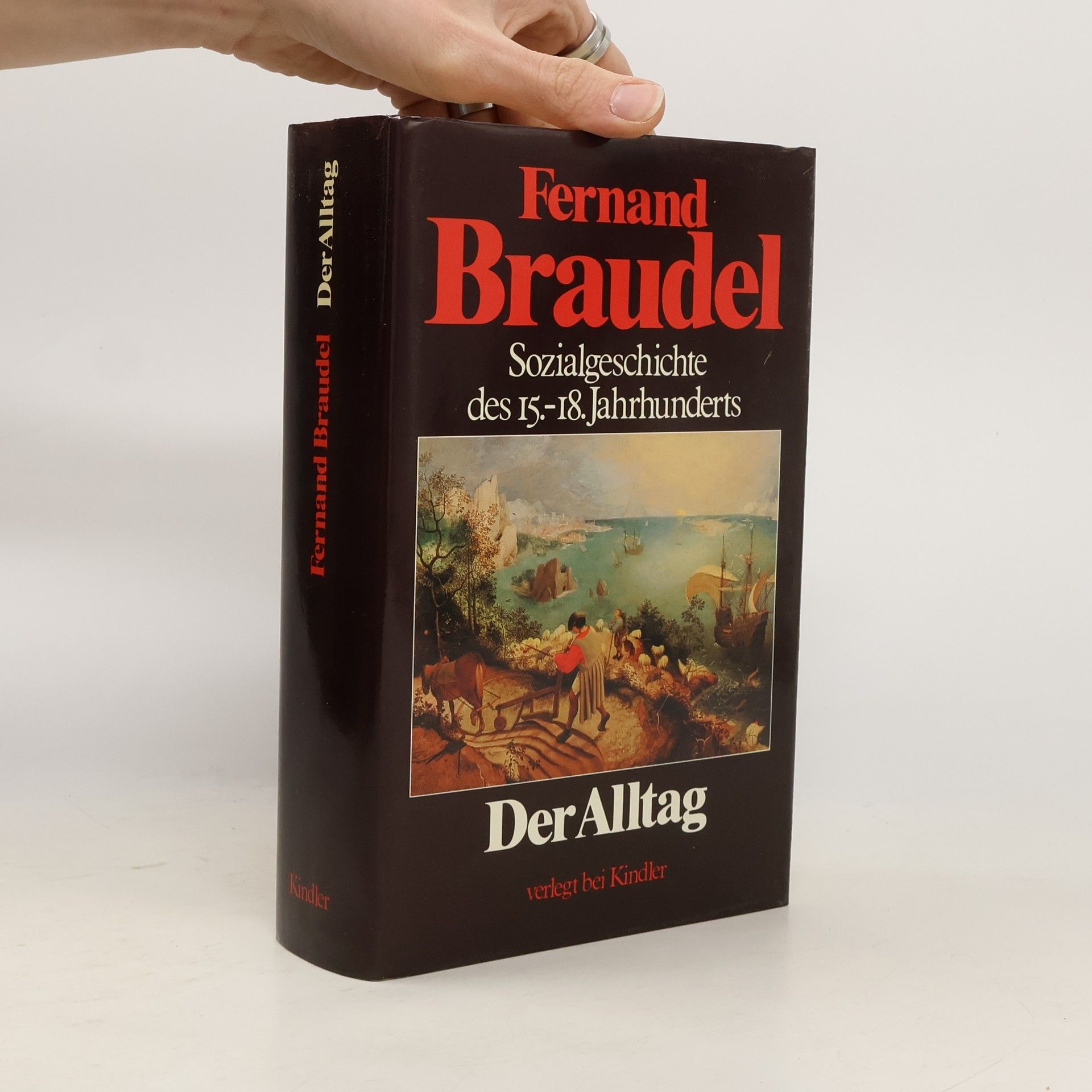 Fernand Braudel Sozialgeschichte des 15.-18. Jahrhunderts: Der Alltag