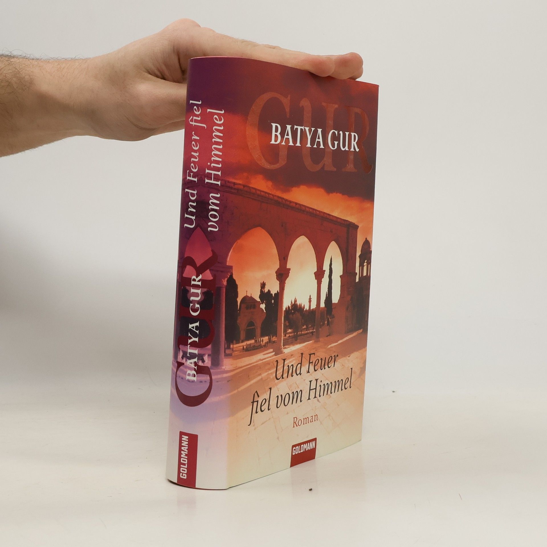 Batya Gur Und Feuer fiel vom Himmel