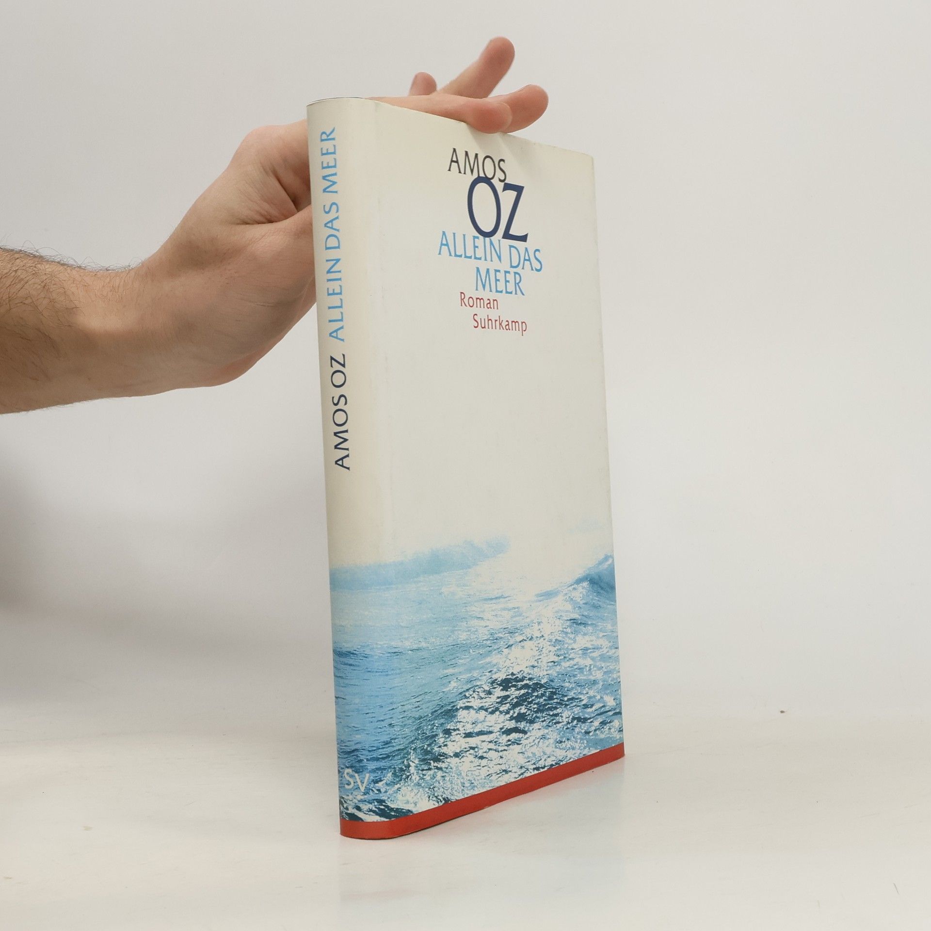 Amos Oz Allein das Meer