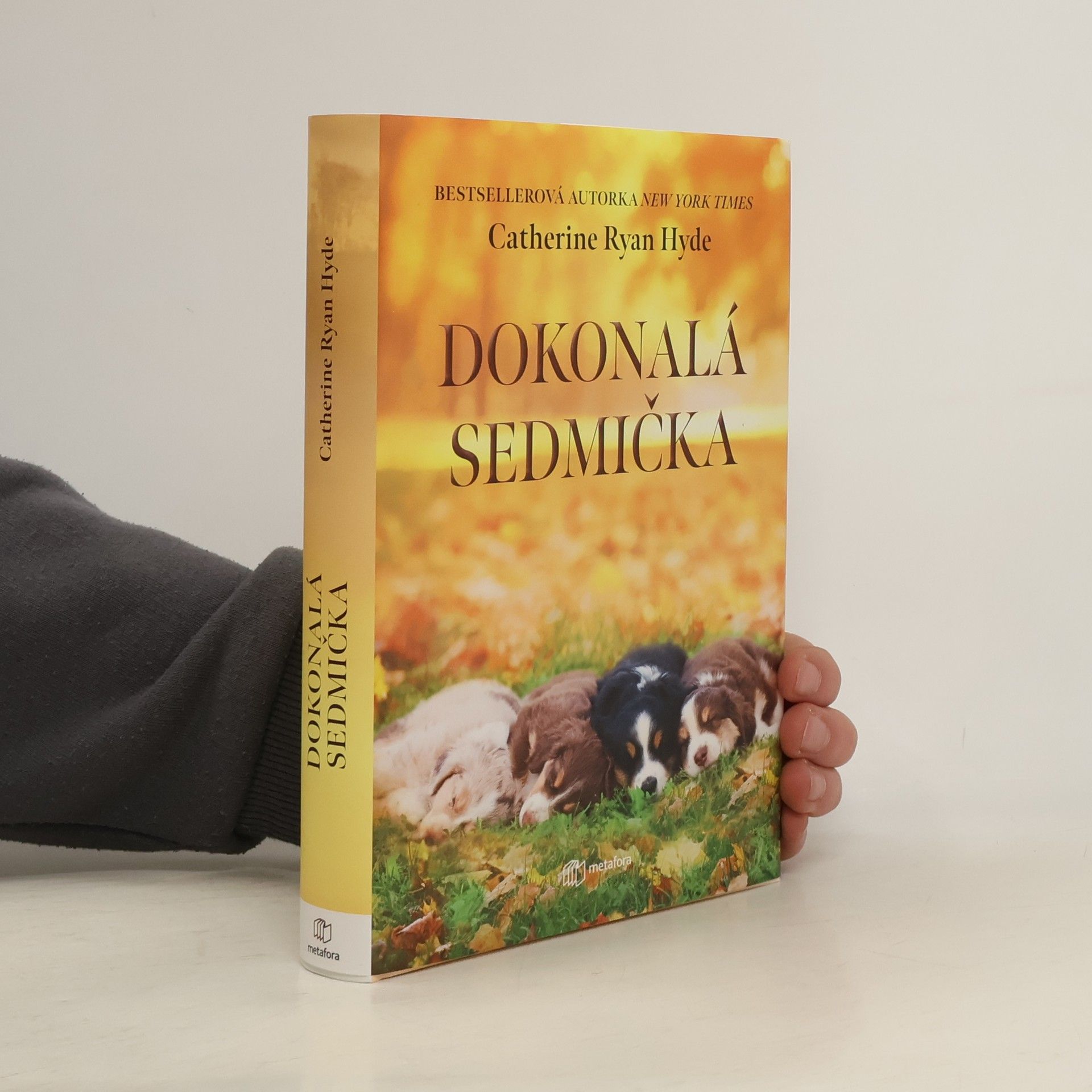 Catherine Ryan Hyde Dokonalá sedmička