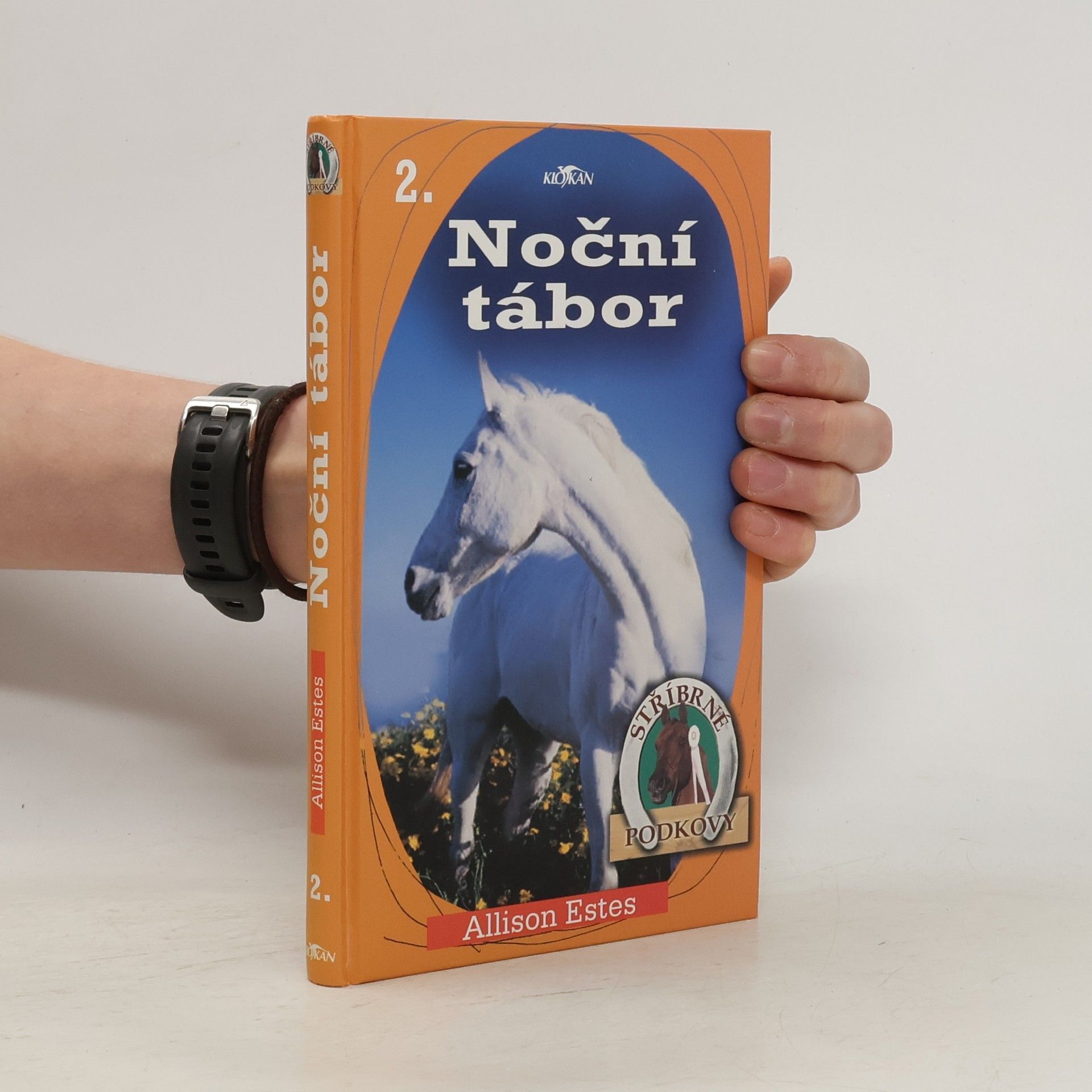 Allison Estes Stříbrné podkovy 2. Noční tábor