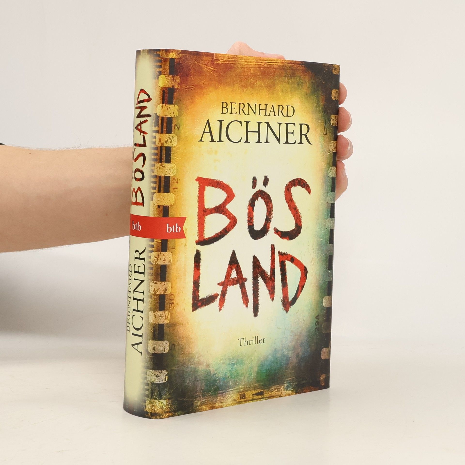 Bernhard Aichner Bösland