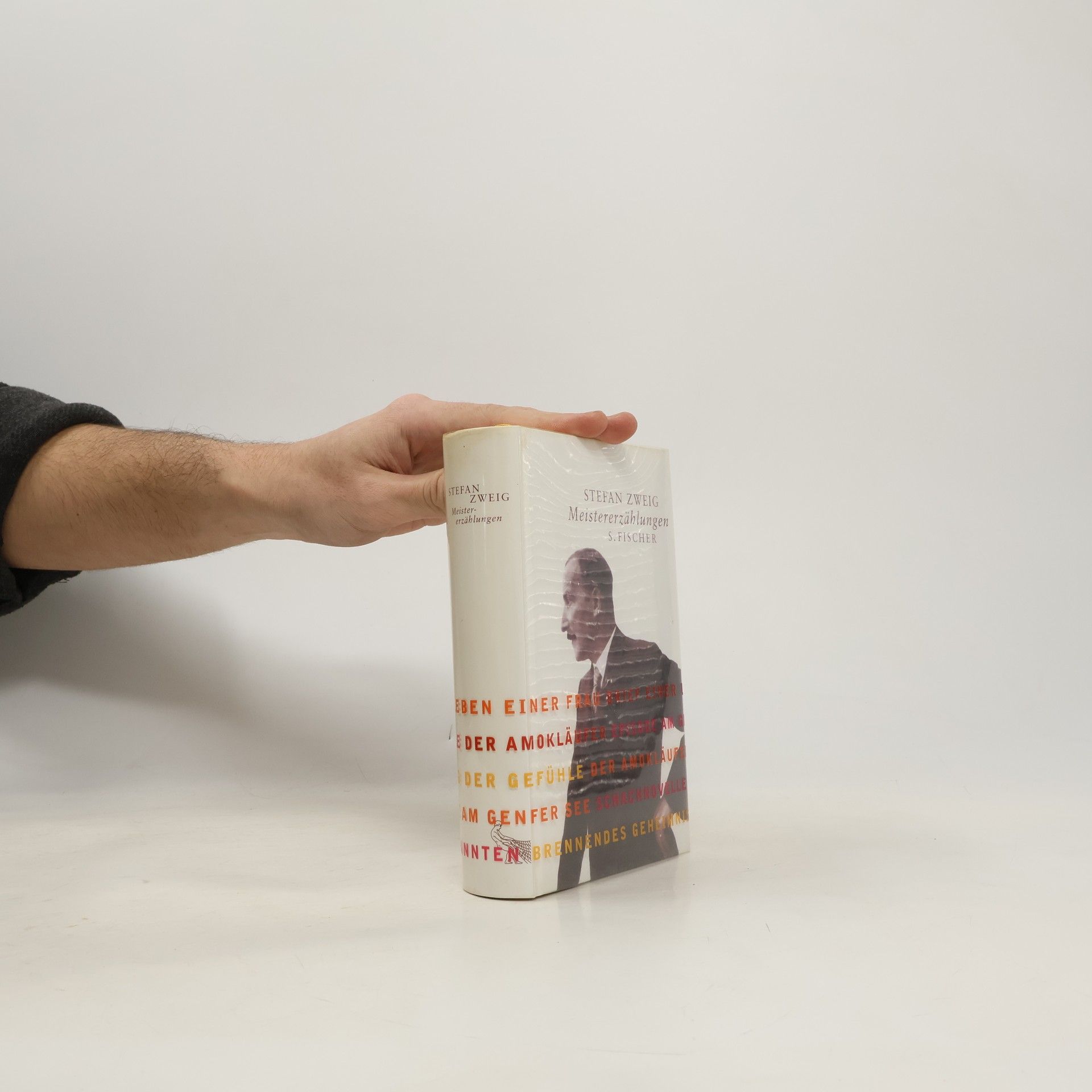 Stefan Zweig Meistererzählungen