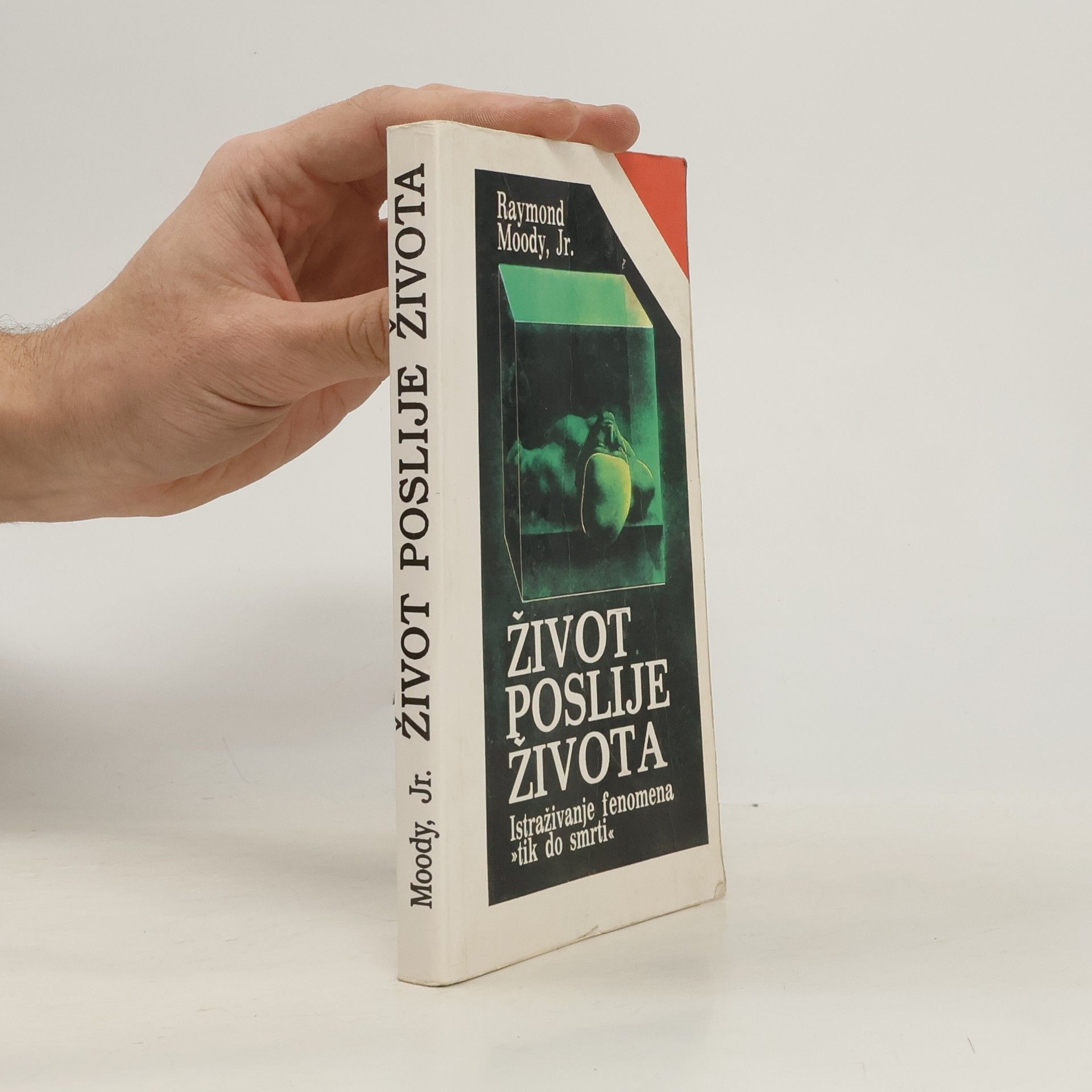 Život poslije života