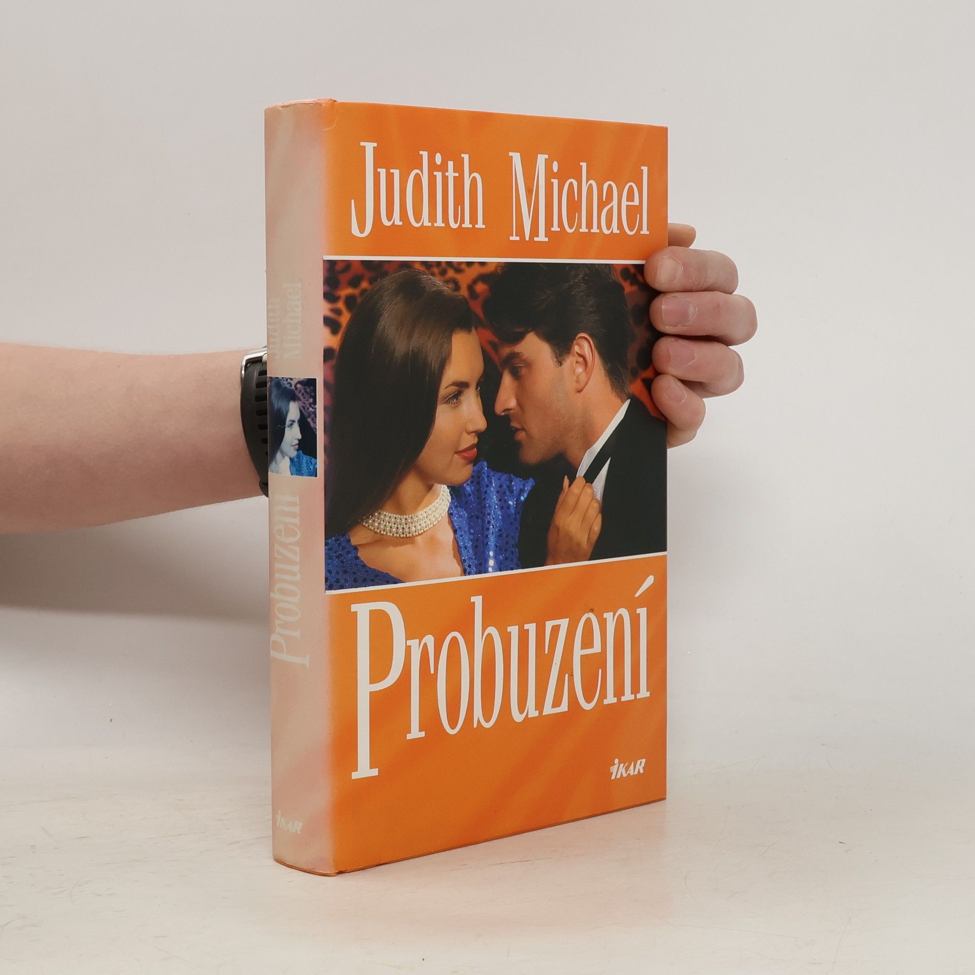 Judith Michael Probuzení