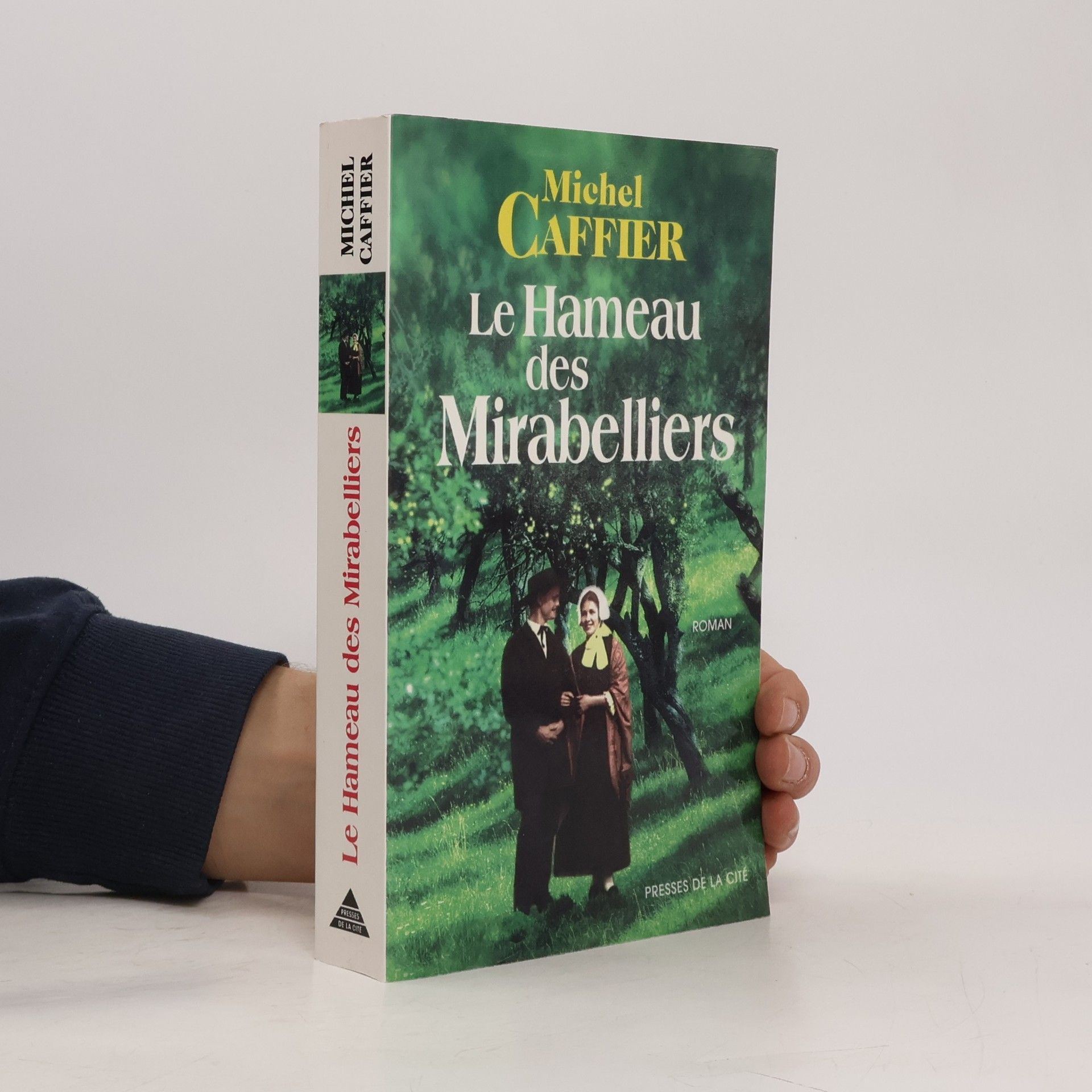 Michel Caffier Le hameau des mirabelliers