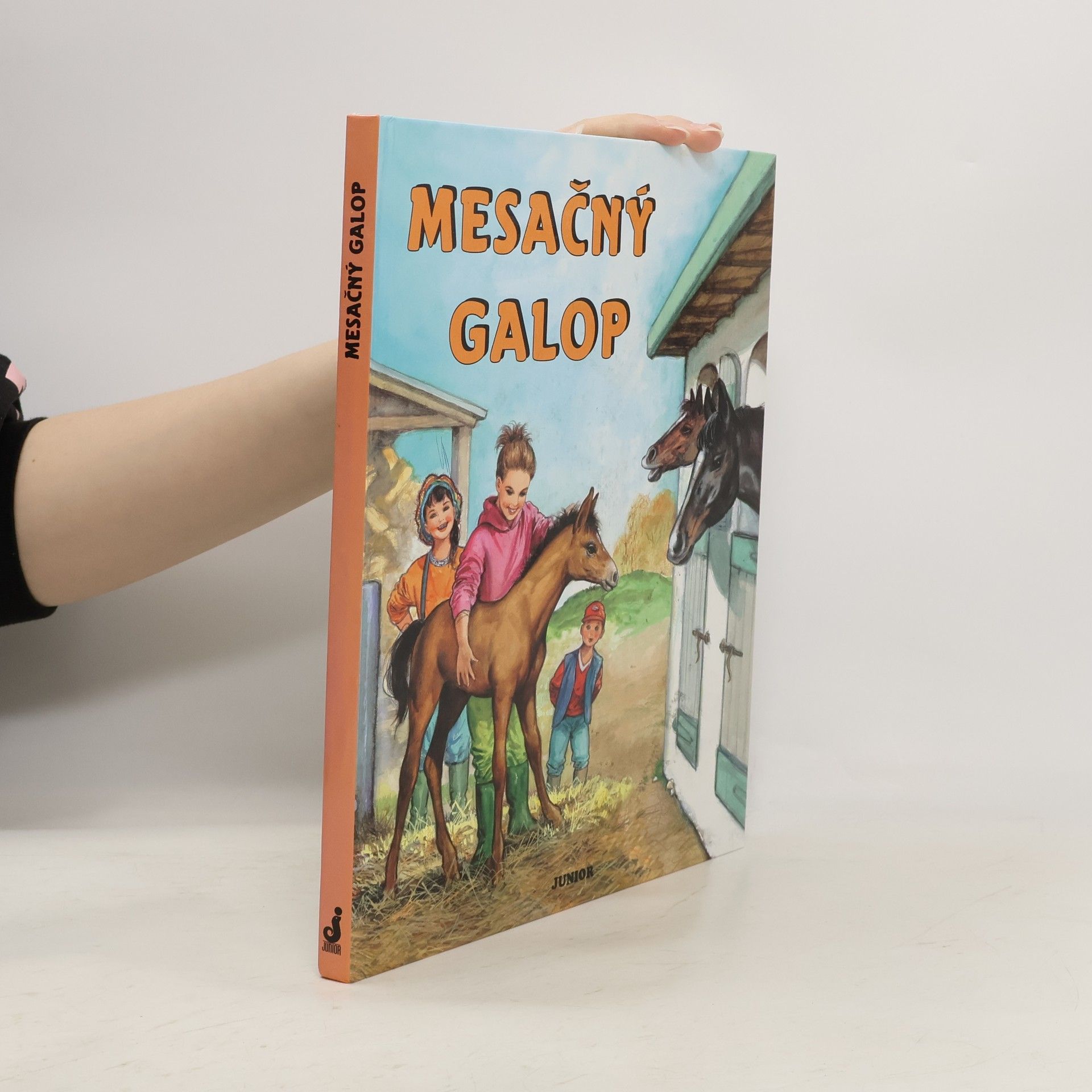 Kolektív autorov Mesačný galop