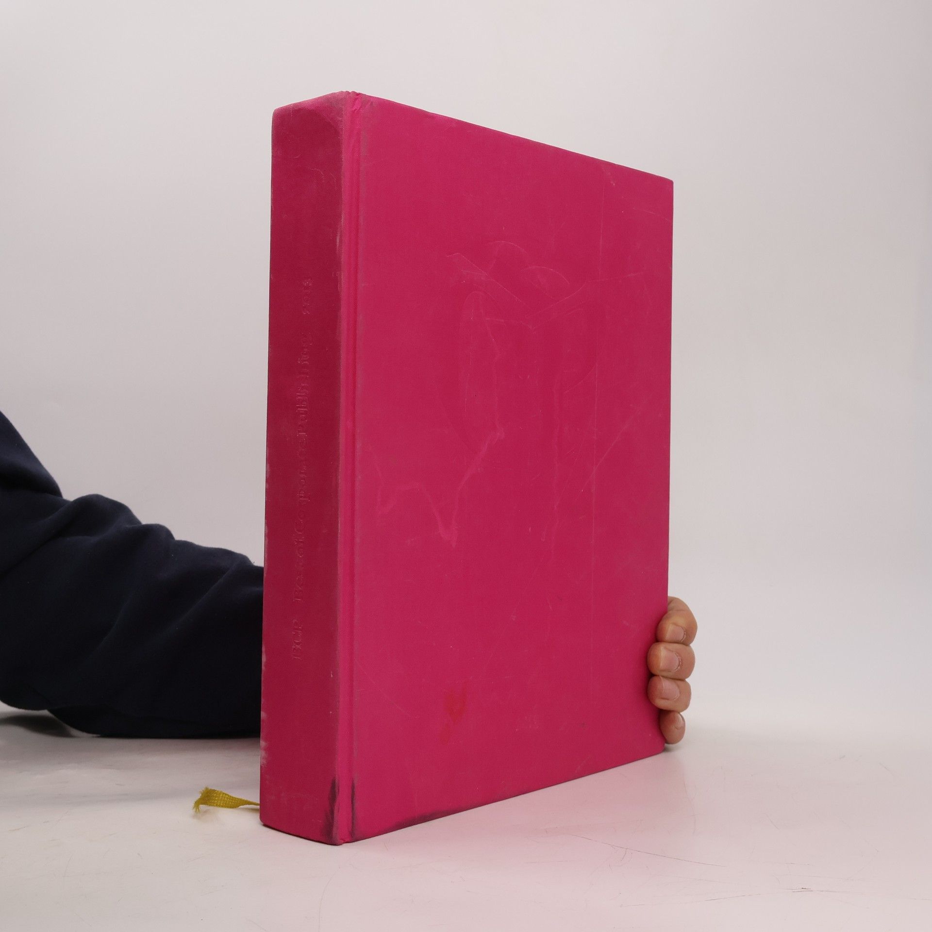 Anja Brachwitz Best of Corporate Publishing 2013