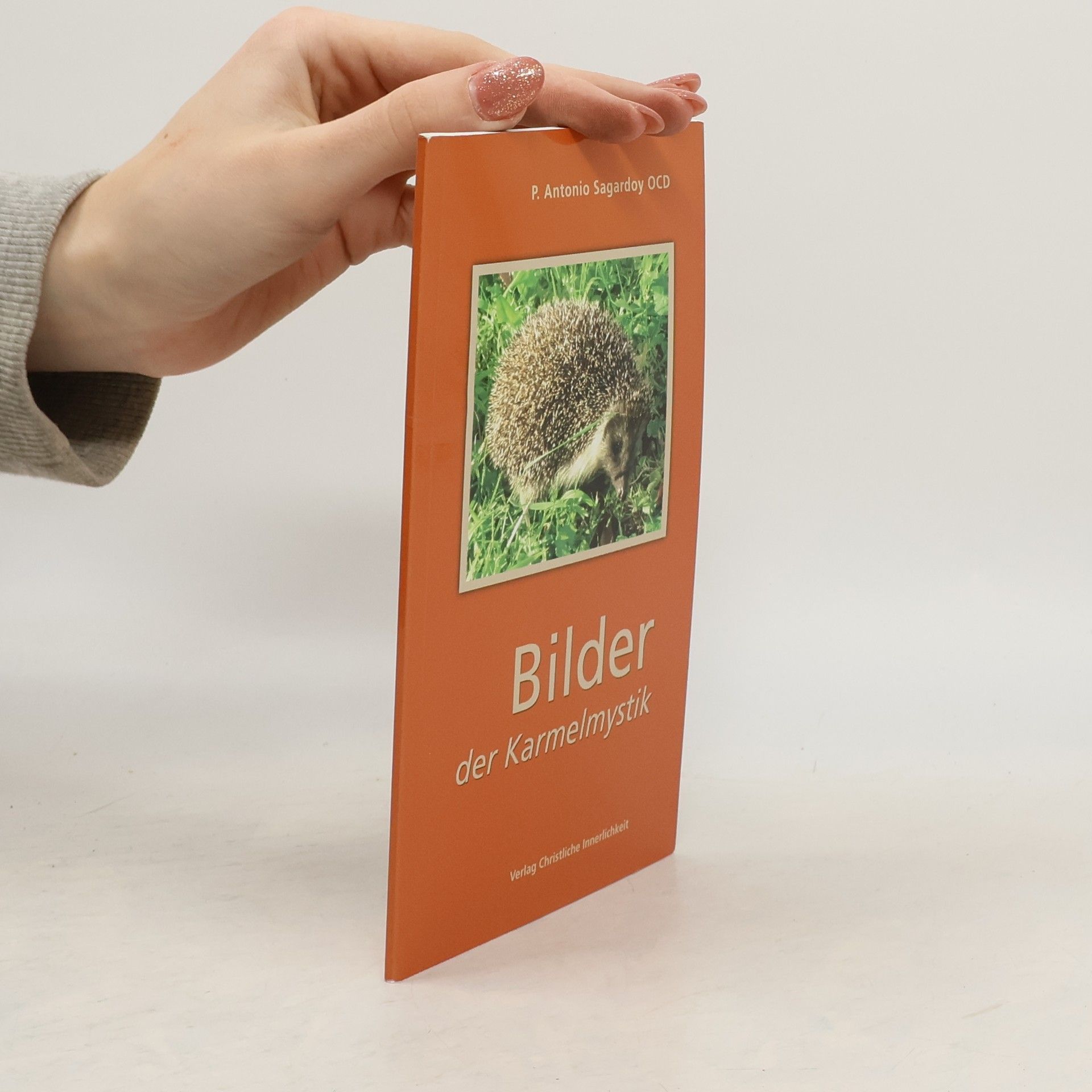 P. Antonio Sagardoy OCD Bilder der Karmelmystik