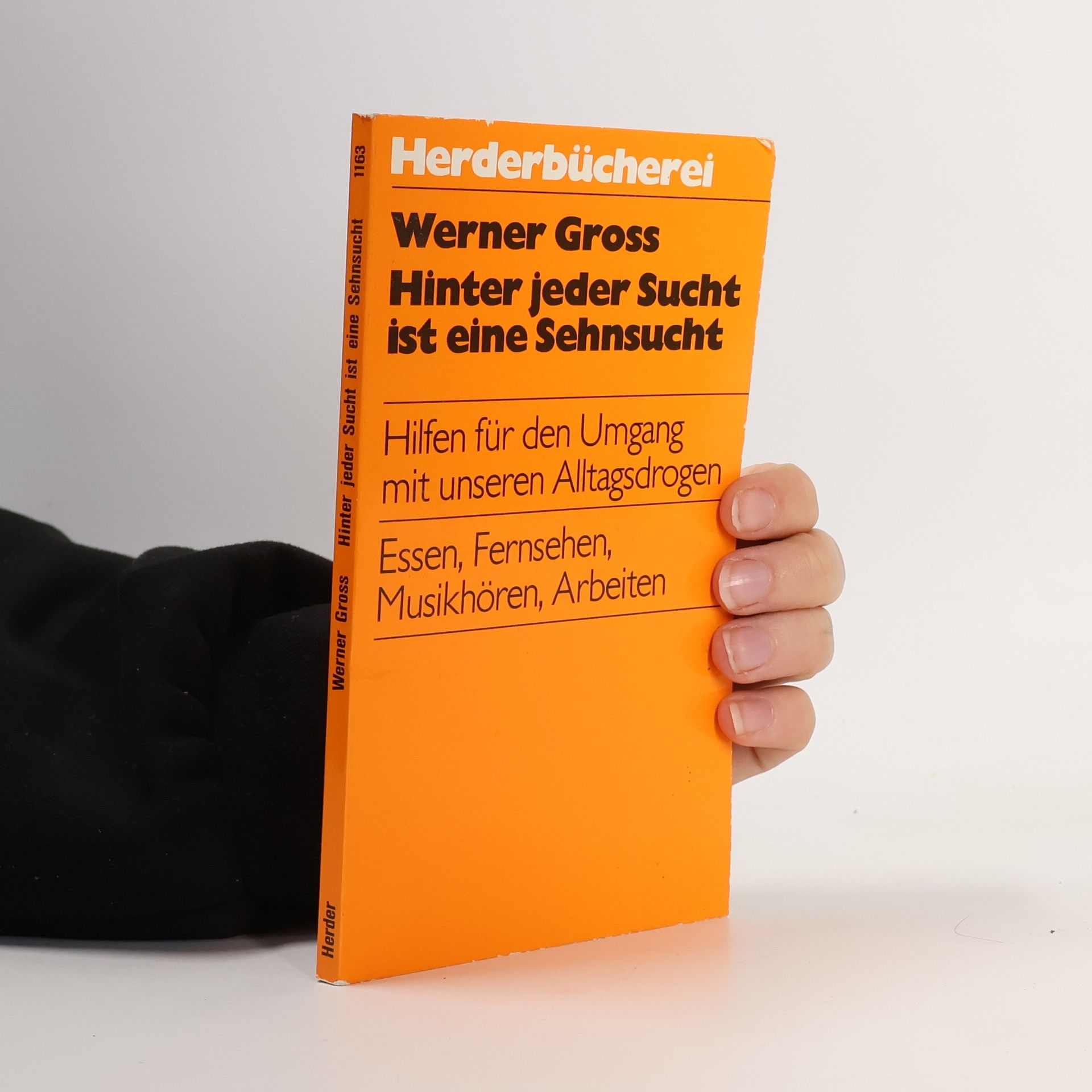 Werner Gross Hinter jeder Sucht ist eine Sehnsucht