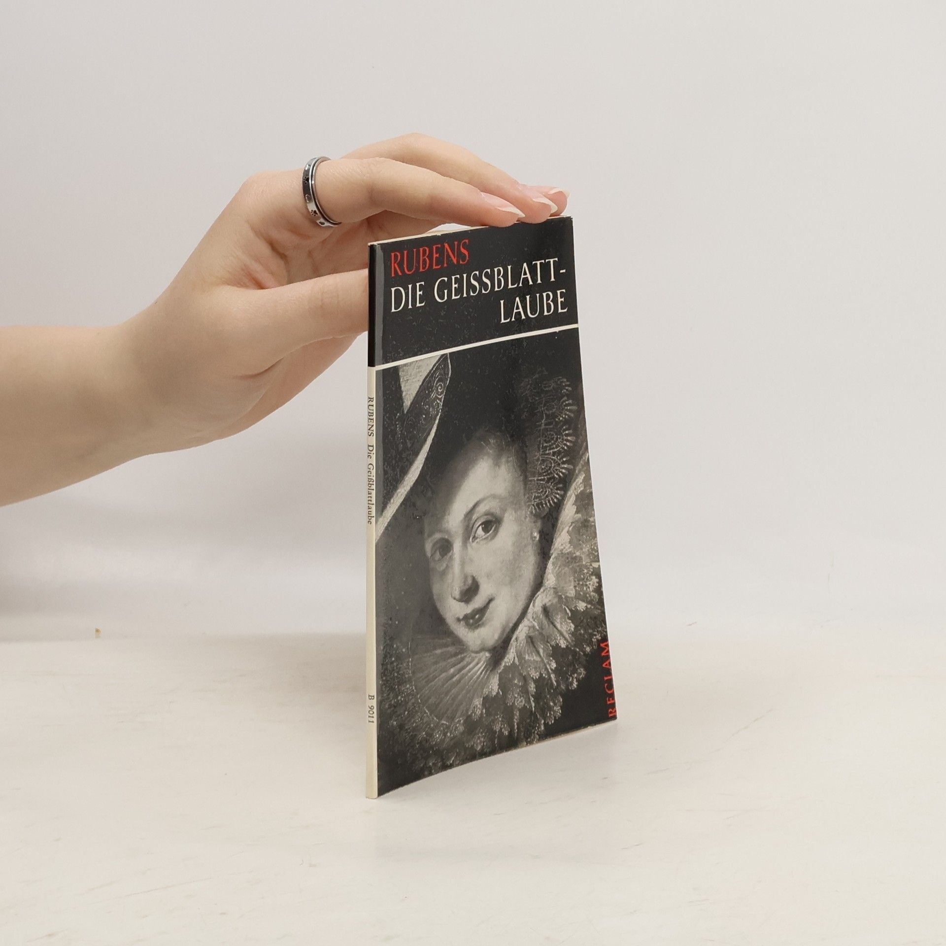 Peter Paul Rubens Die Geissblattlaube