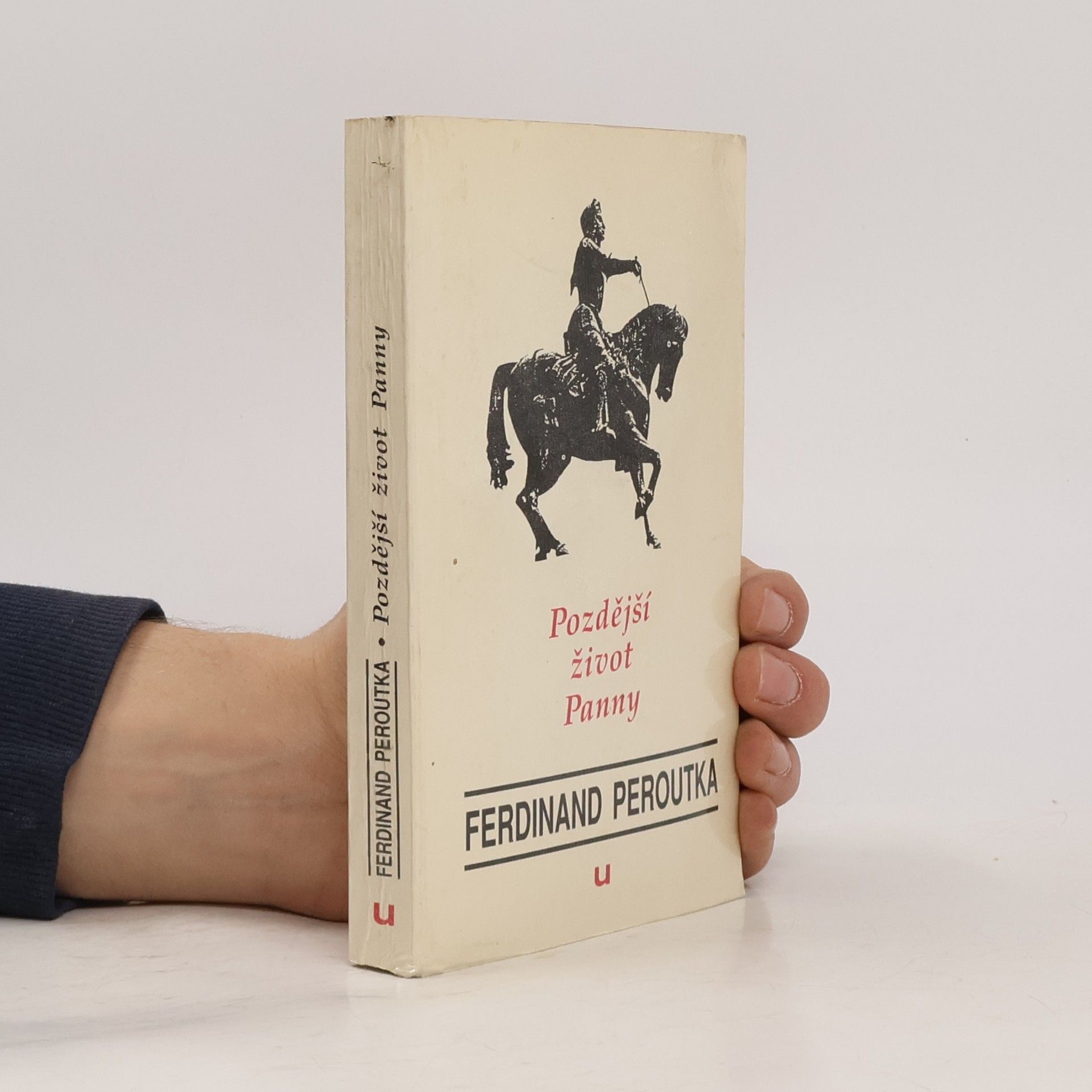 Pozdější život Panny