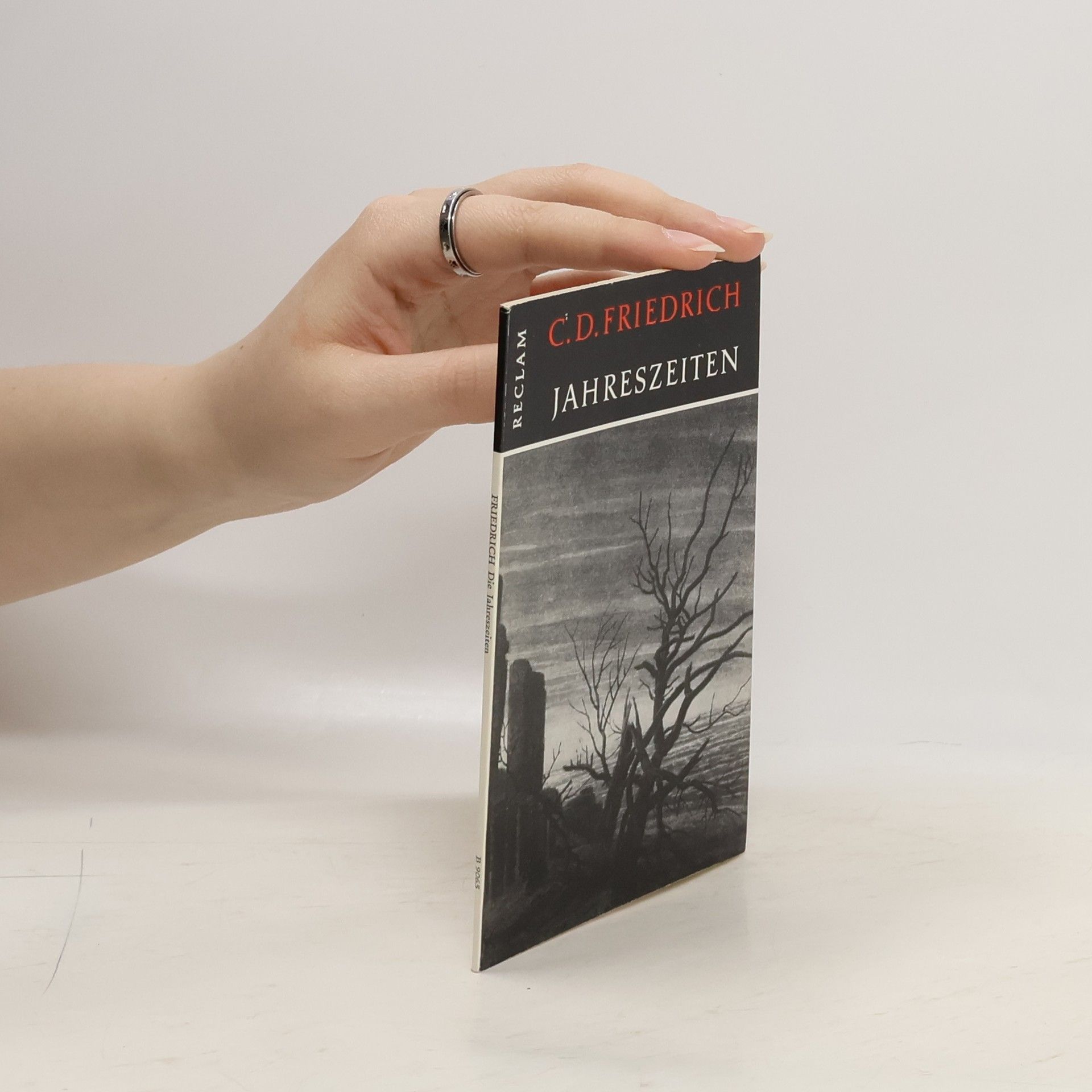 C.D. Friedrich Jahreszeiten