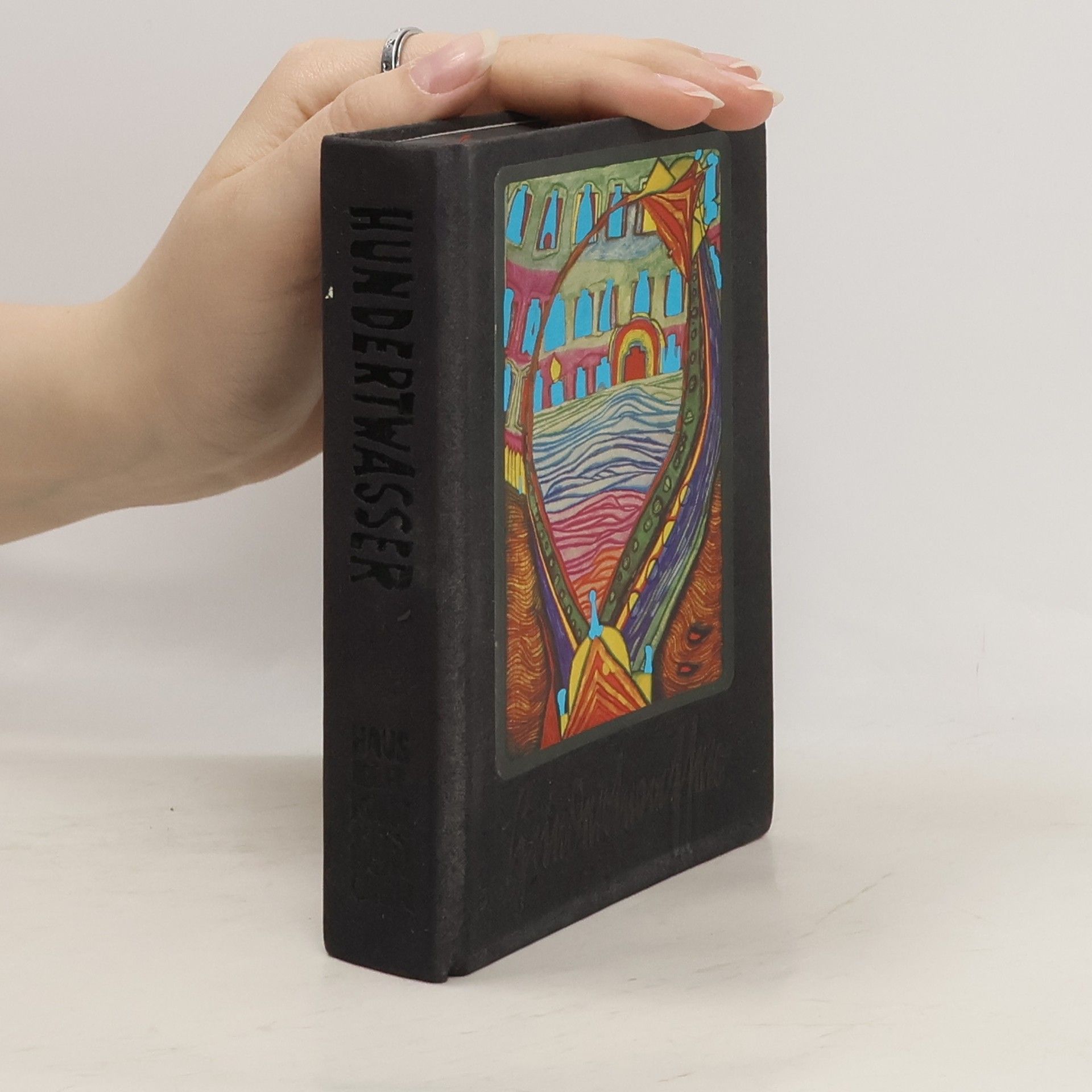 Joram Harel Der Unbekannte Hundertwasser = The yet unknown Hundertwasser