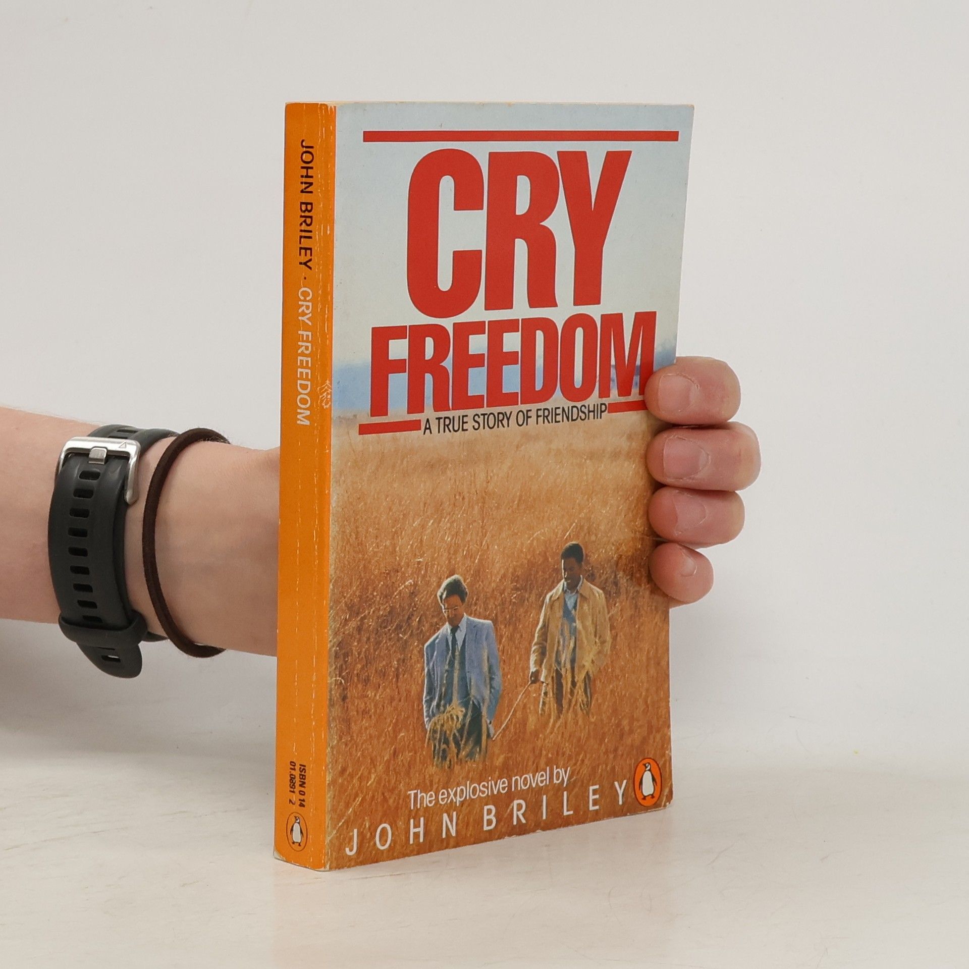 John Briley Cry freedom