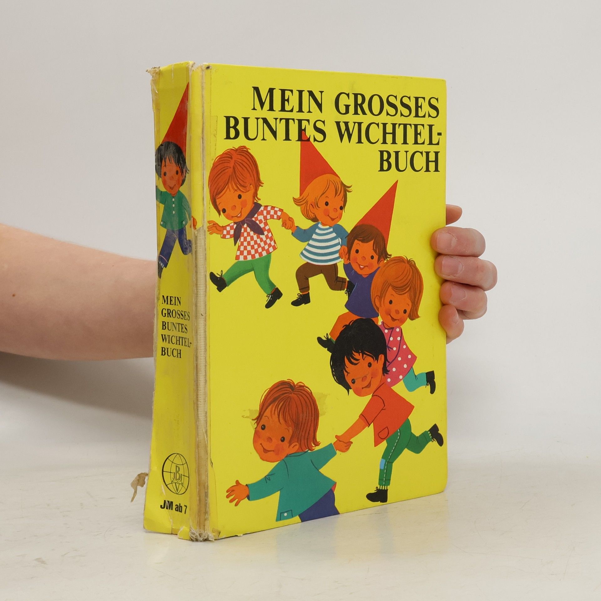 Kolektiv autorů Mein großes buntes Wichtelbuch