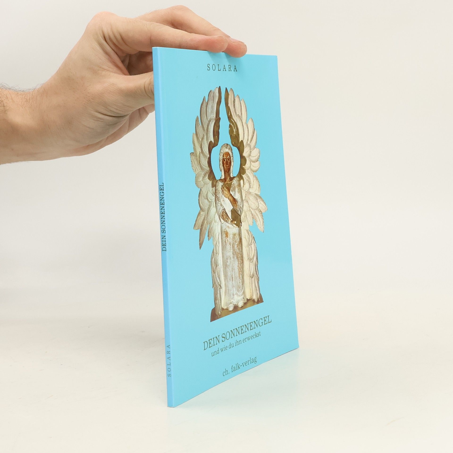 Dein Sonnenengel und wie du ihn erweckst