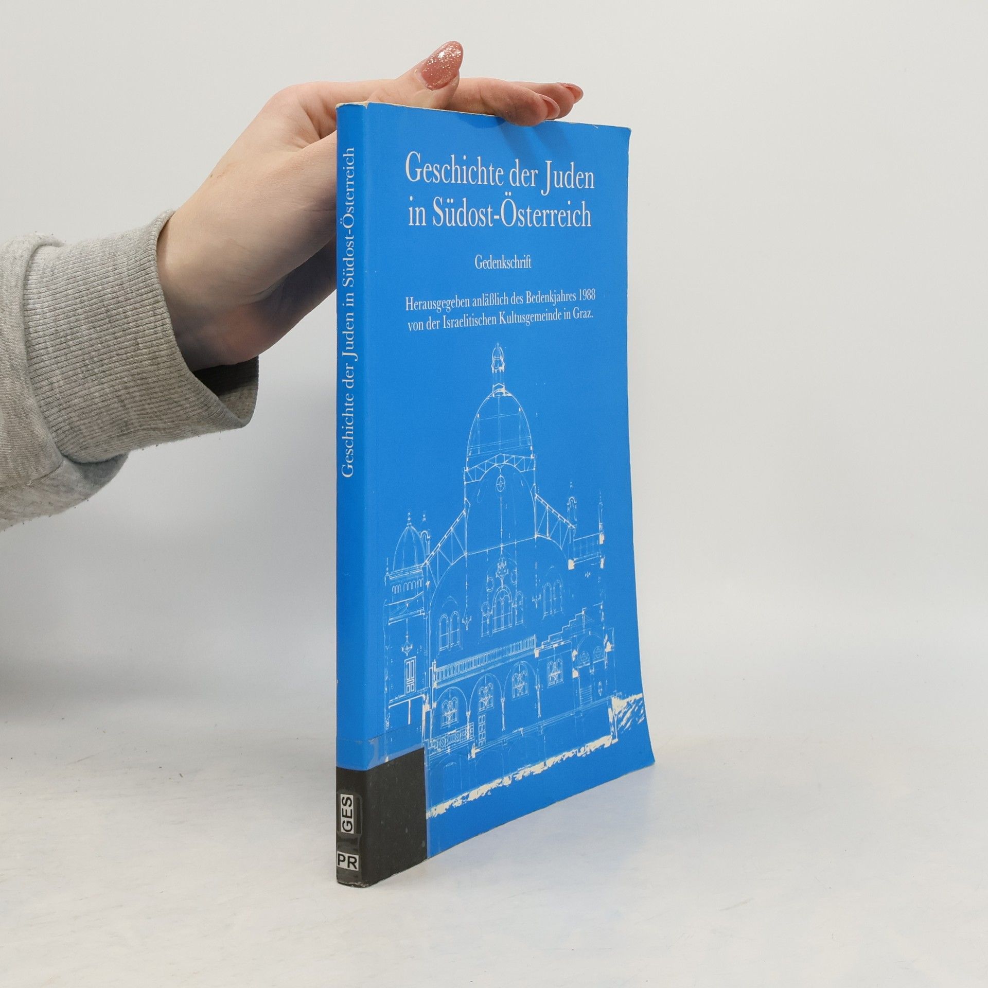 Auteurscollectief Geschichte der Juden in Südost-Österreich