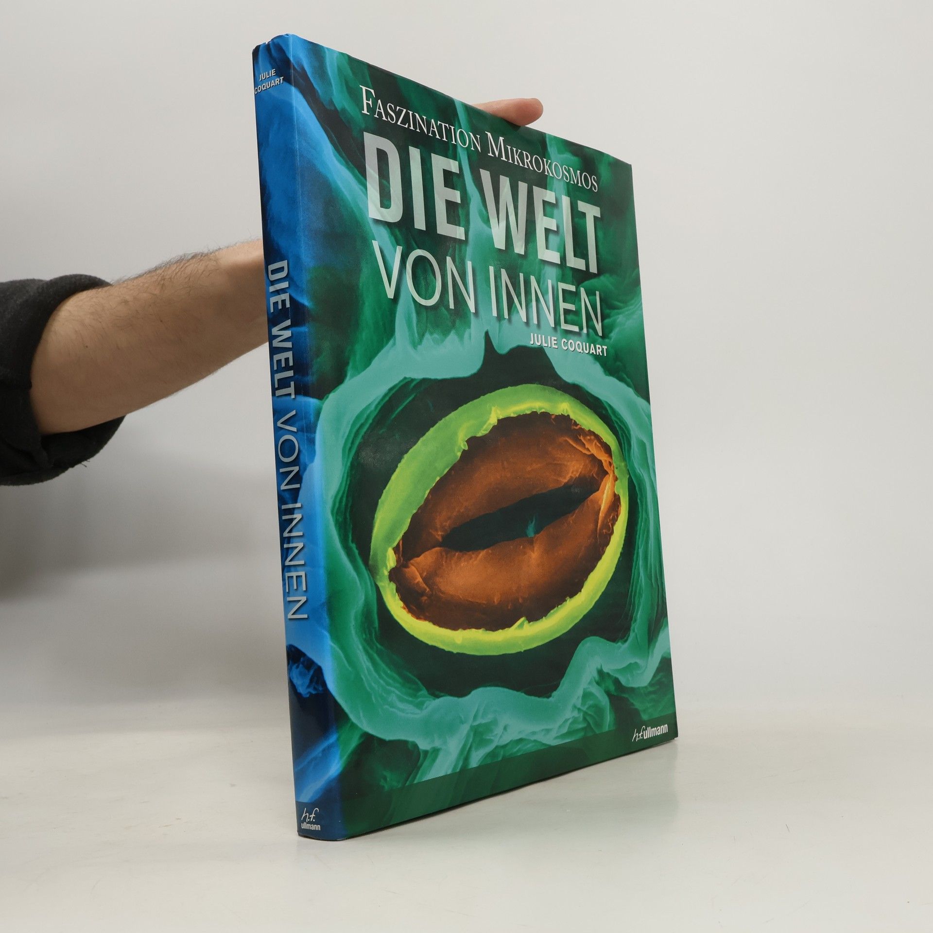 Julie Coquart Die Welt von innen (Buch + E-Book)