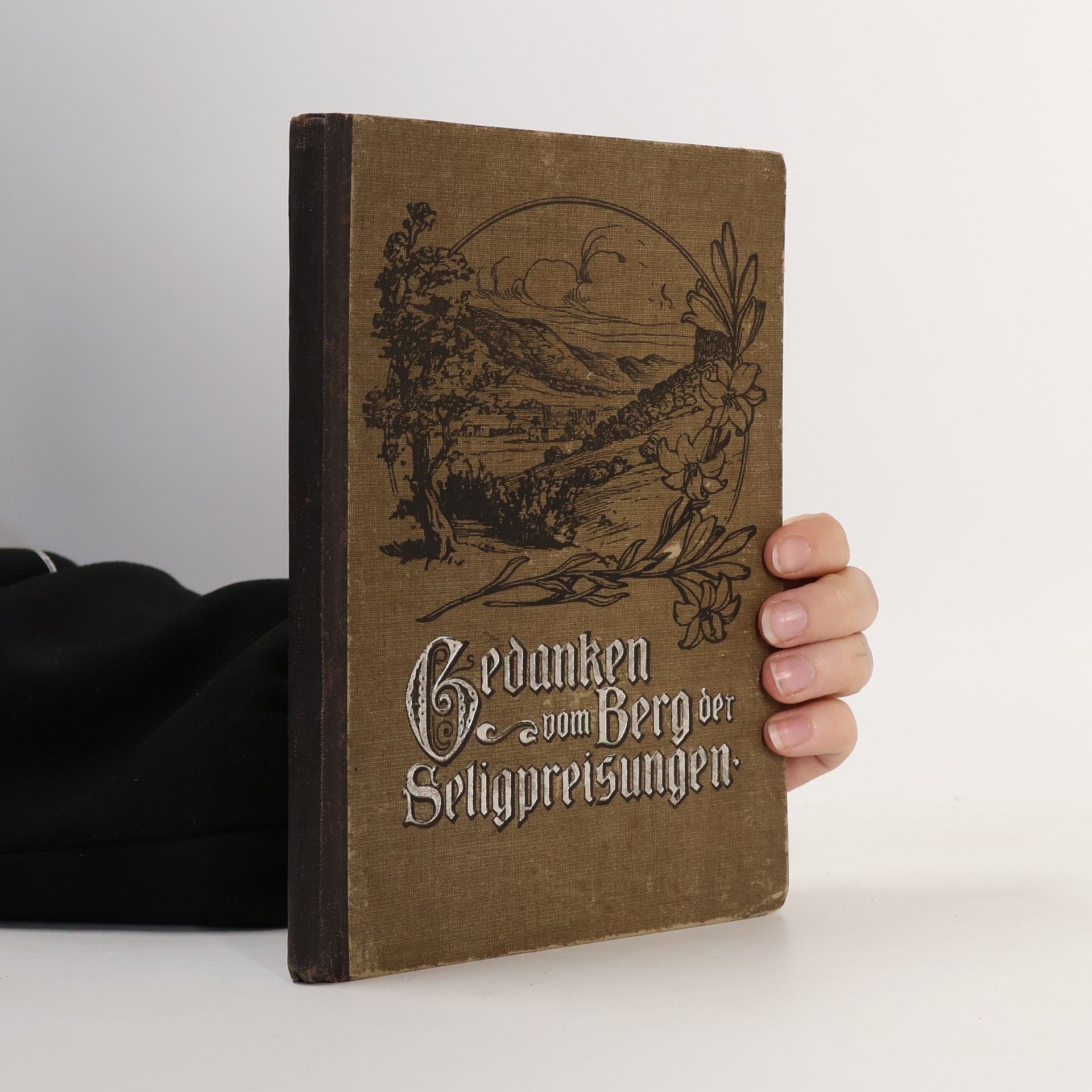 Gedanken vom Berg der Seligpreisungen