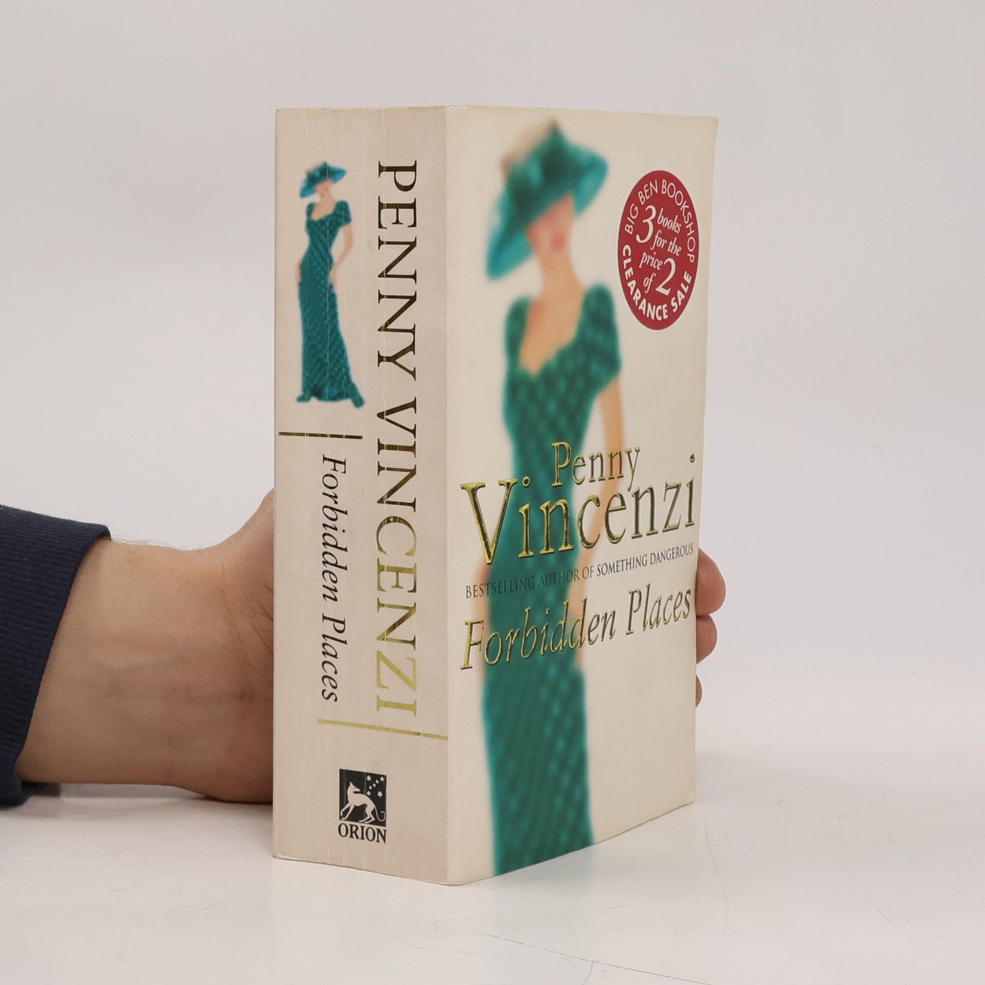 Penny Vincenzi Forbidden Places