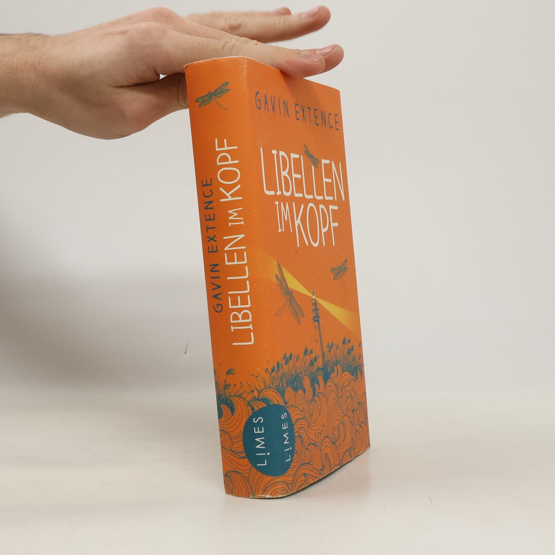 Gavin Extence Libellen im Kopf