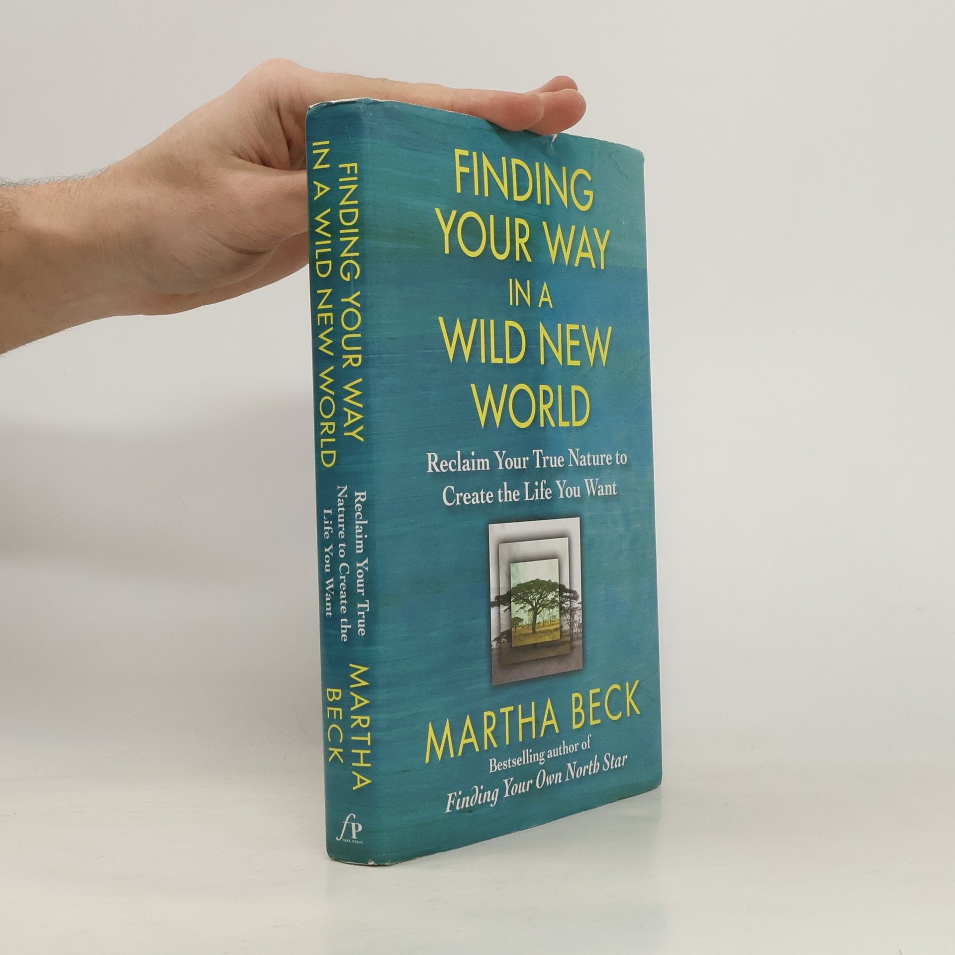 Martha Beck Finding Your Way in a Wild New World