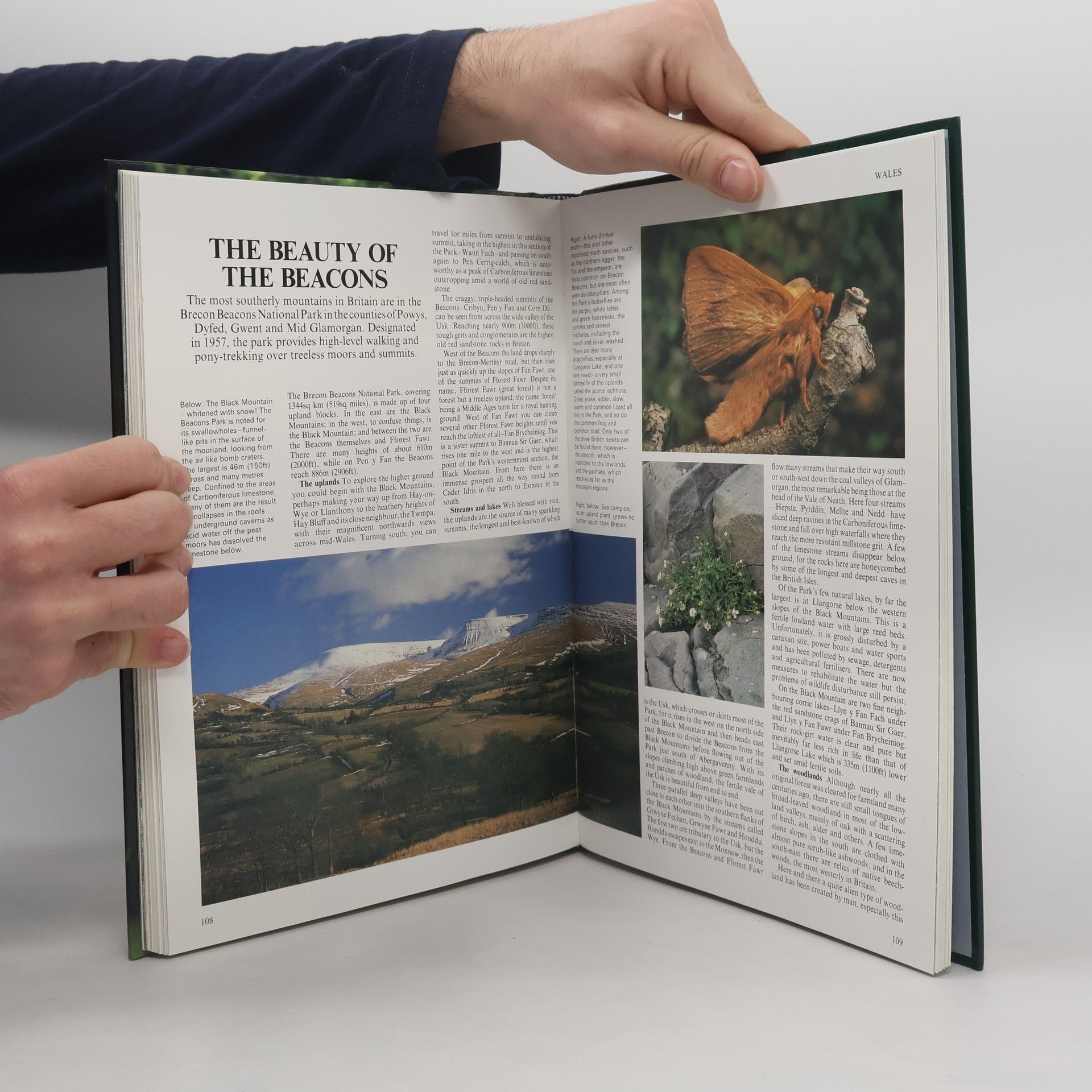 Autorenkollektiv Havens of the Wild