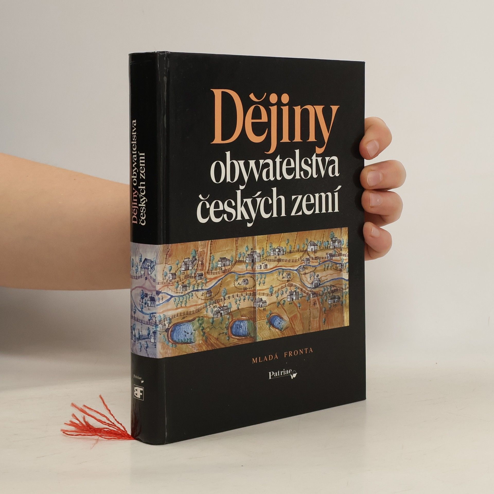 Autorenkollektiv Dějiny obyvatelstva českých zemí