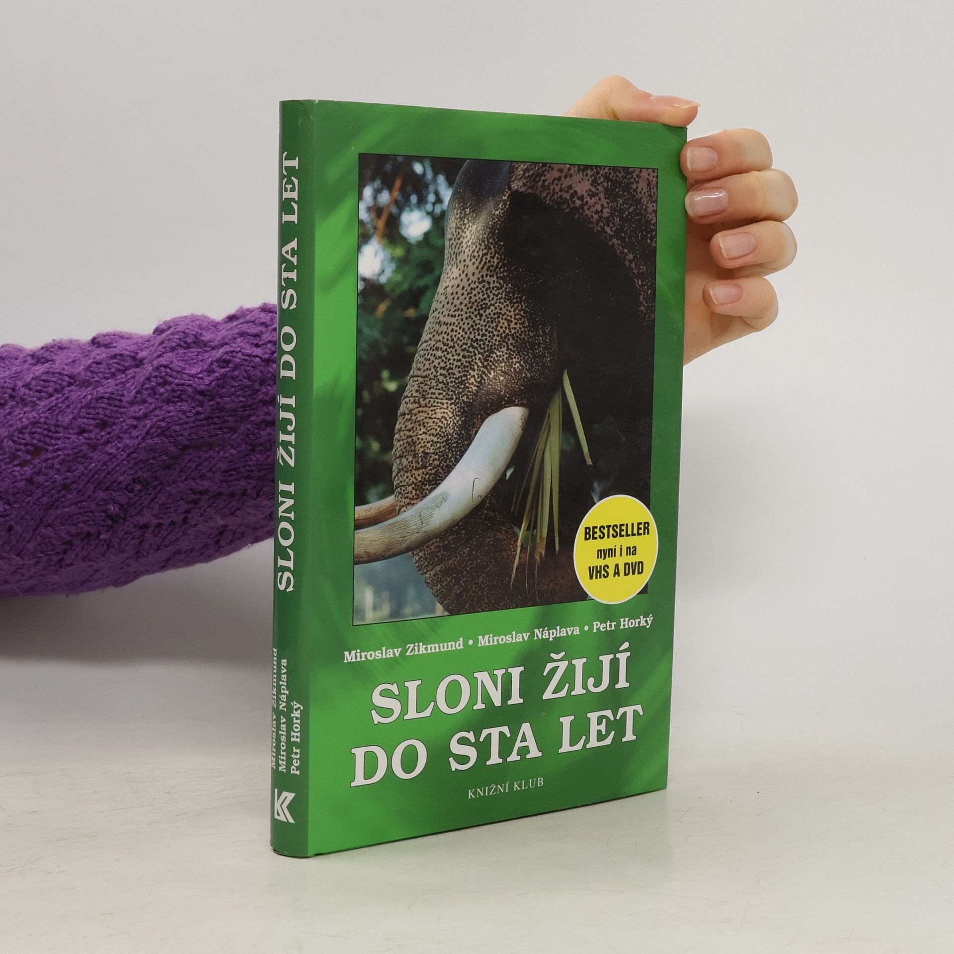 Sloni žijí do sta let