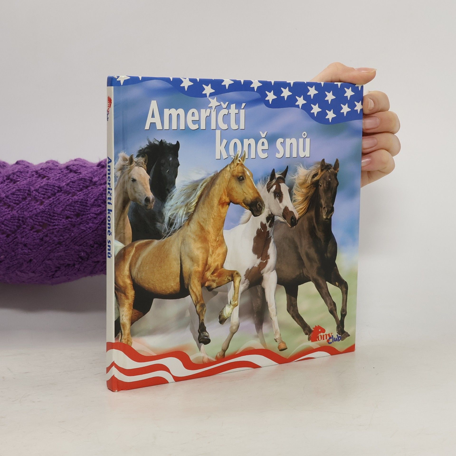 Autorenkollektiv Američtí koně snů