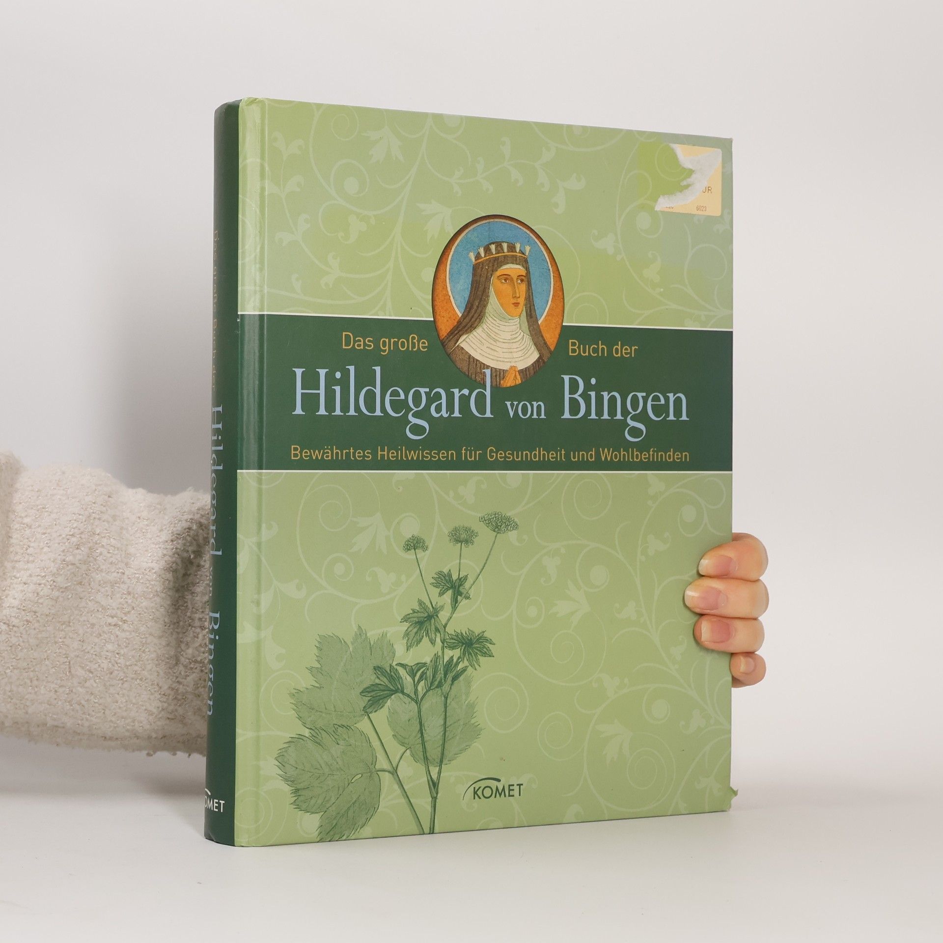 Hildegarda z Bingenu Das große Buch der Hildegard von Bingen