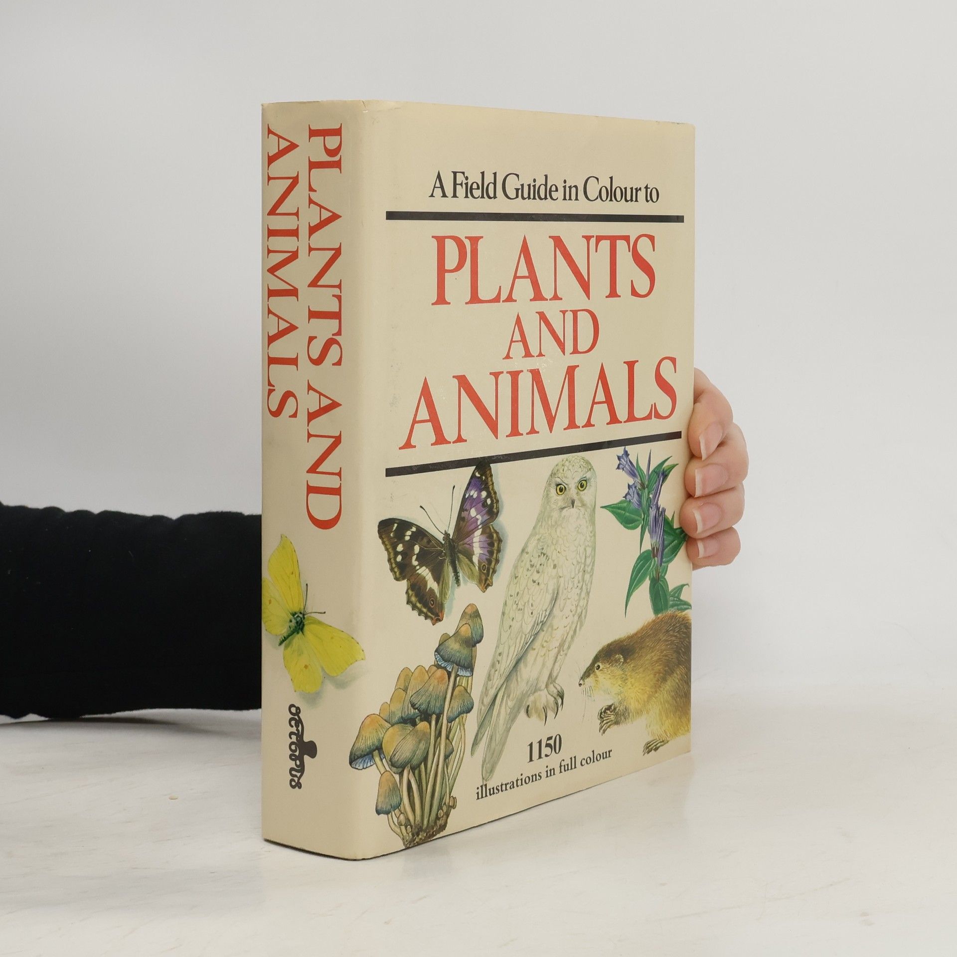 A Field Guide in Colour to Plants and Animals