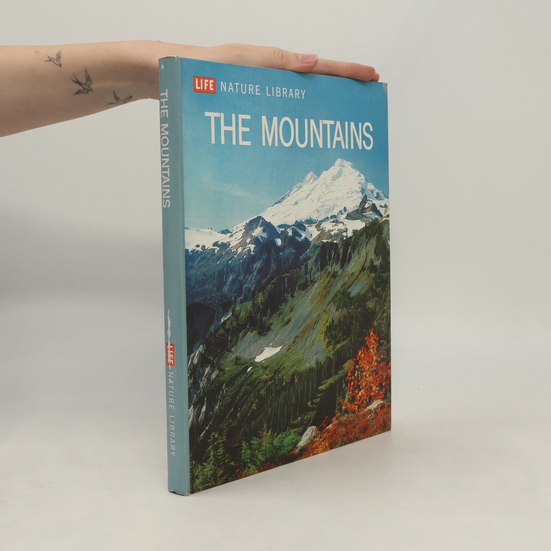 Autorenkollektiv The Mountains