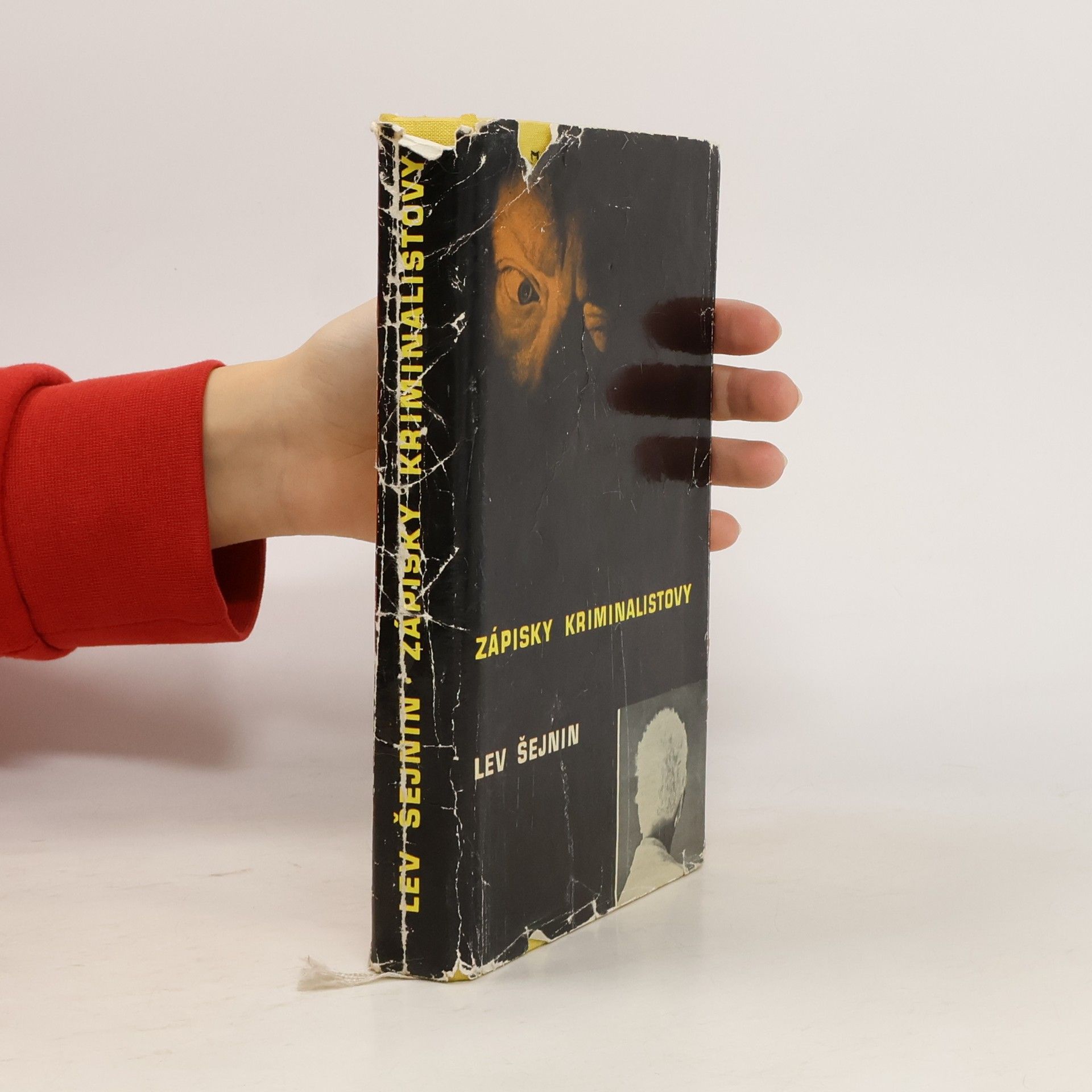Lev Romanovič Šejnin Zápisky kriminalistovy