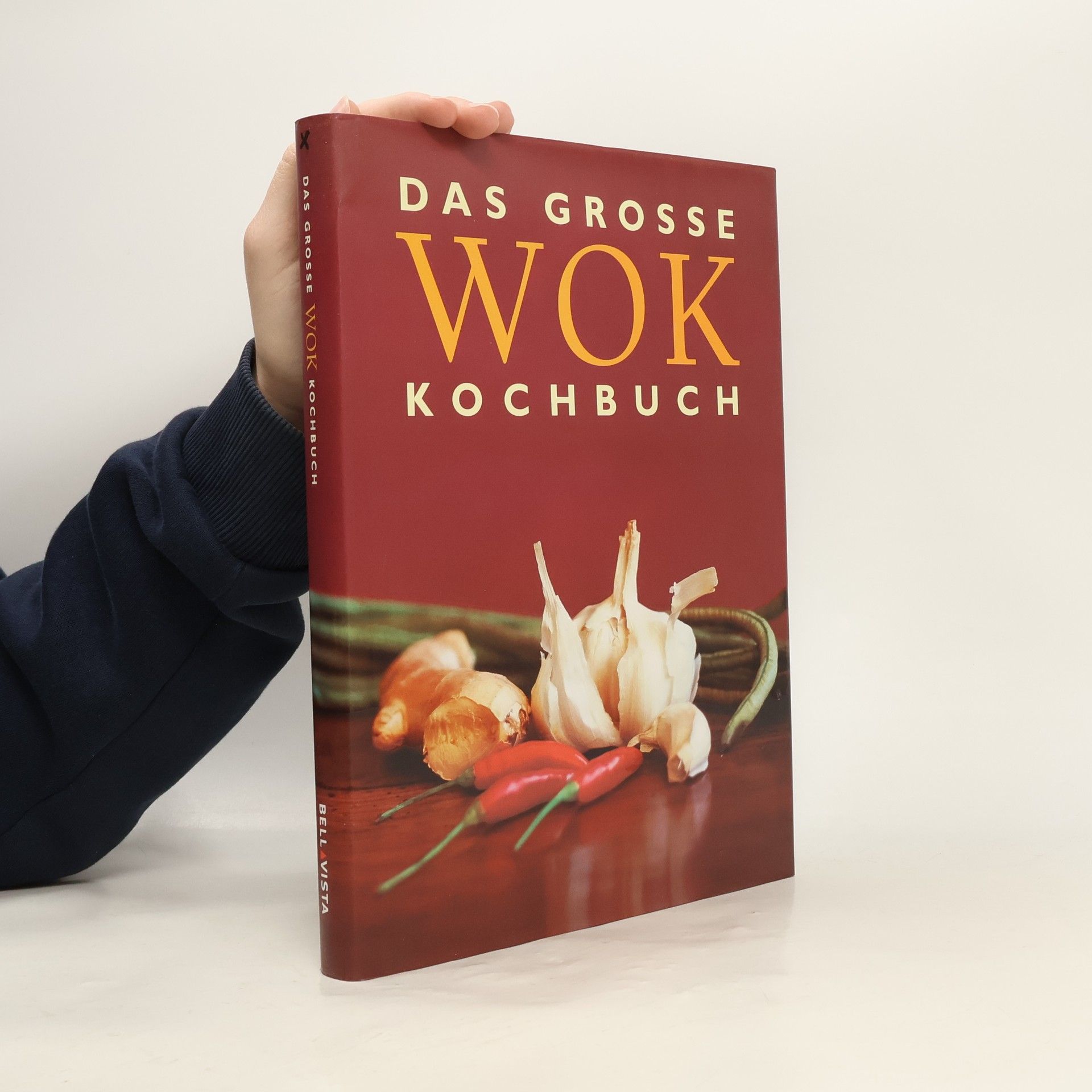 Autorenkollektiv Das grosse wok kochbuch