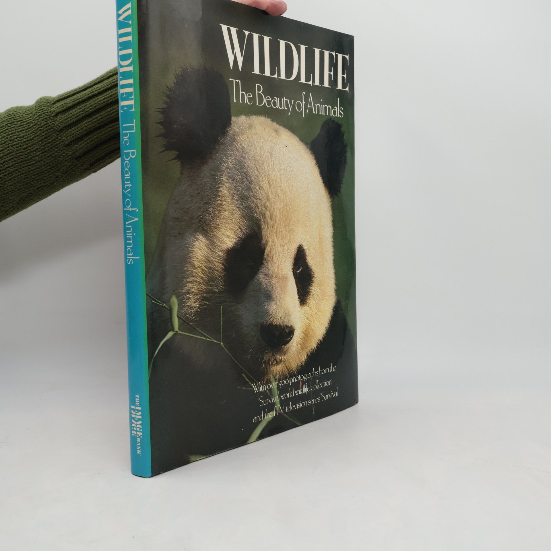 Peter Bellamy Wildlife The Beauty Of Animals