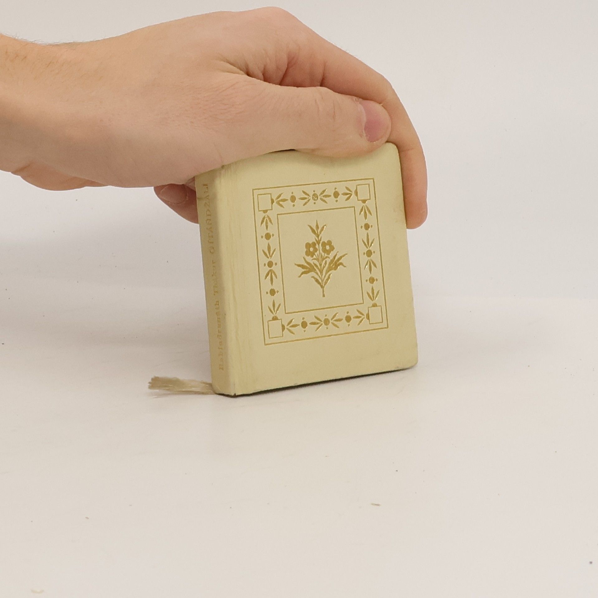 Rabindranath Tagore Gítáňdžali