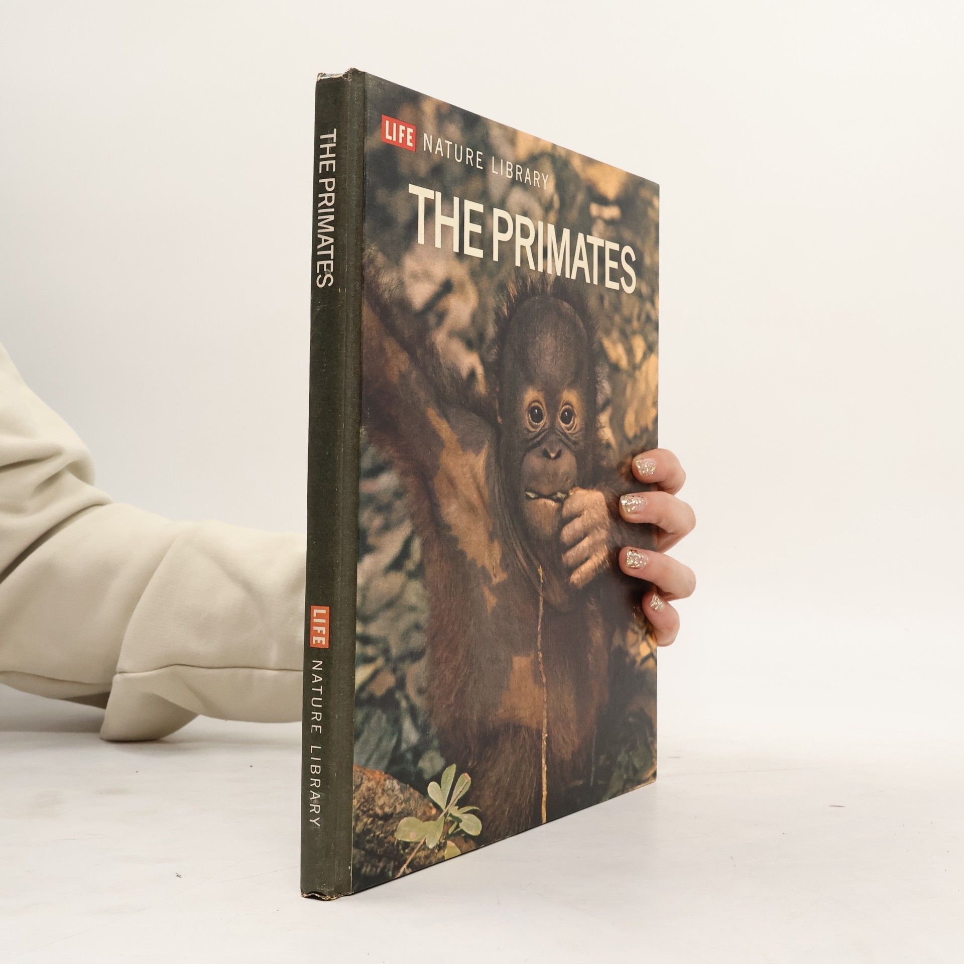 Autores varios The Primates