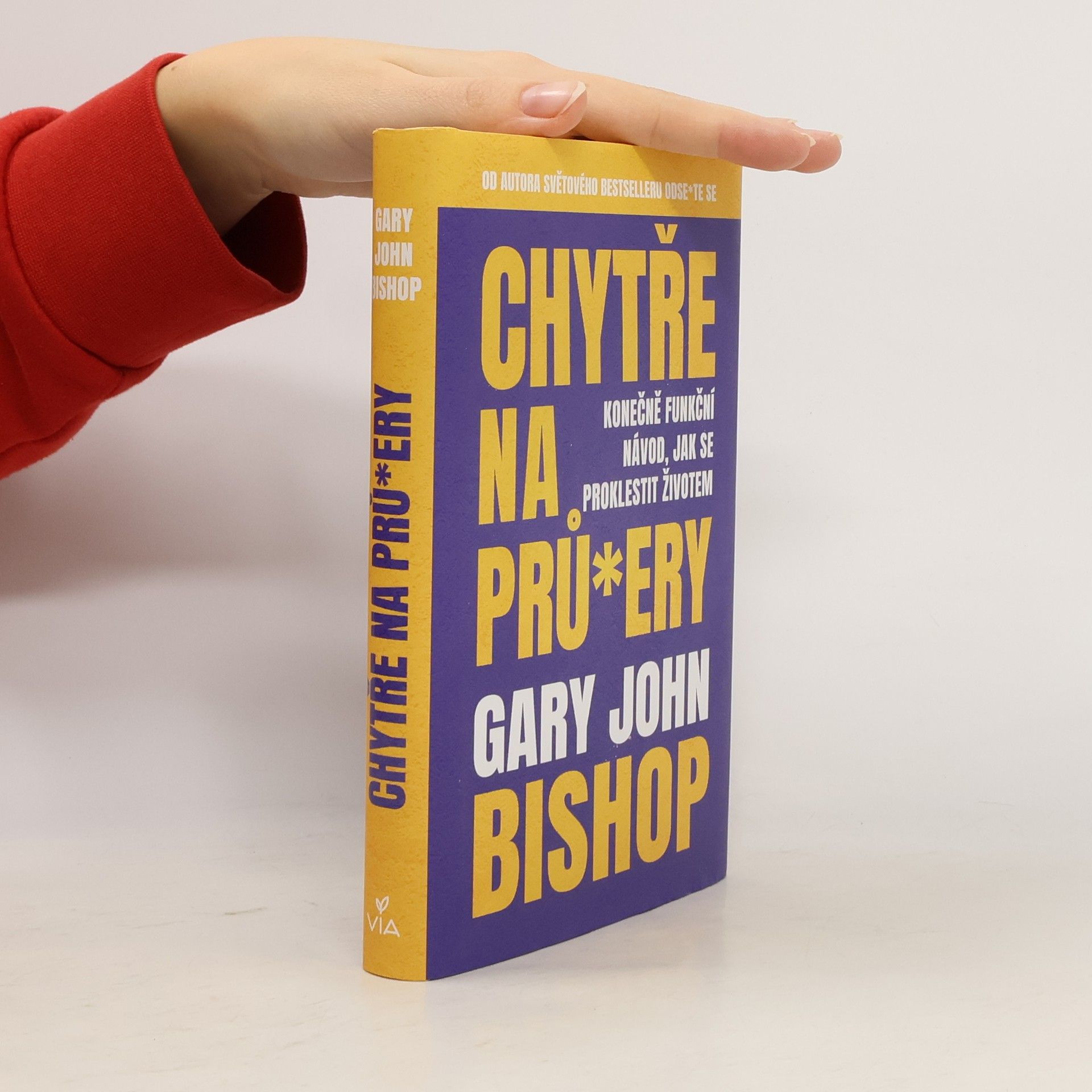 Gary John Bishop Chytře na prů*ery : konečně funkční návod, jak se proklestit životem