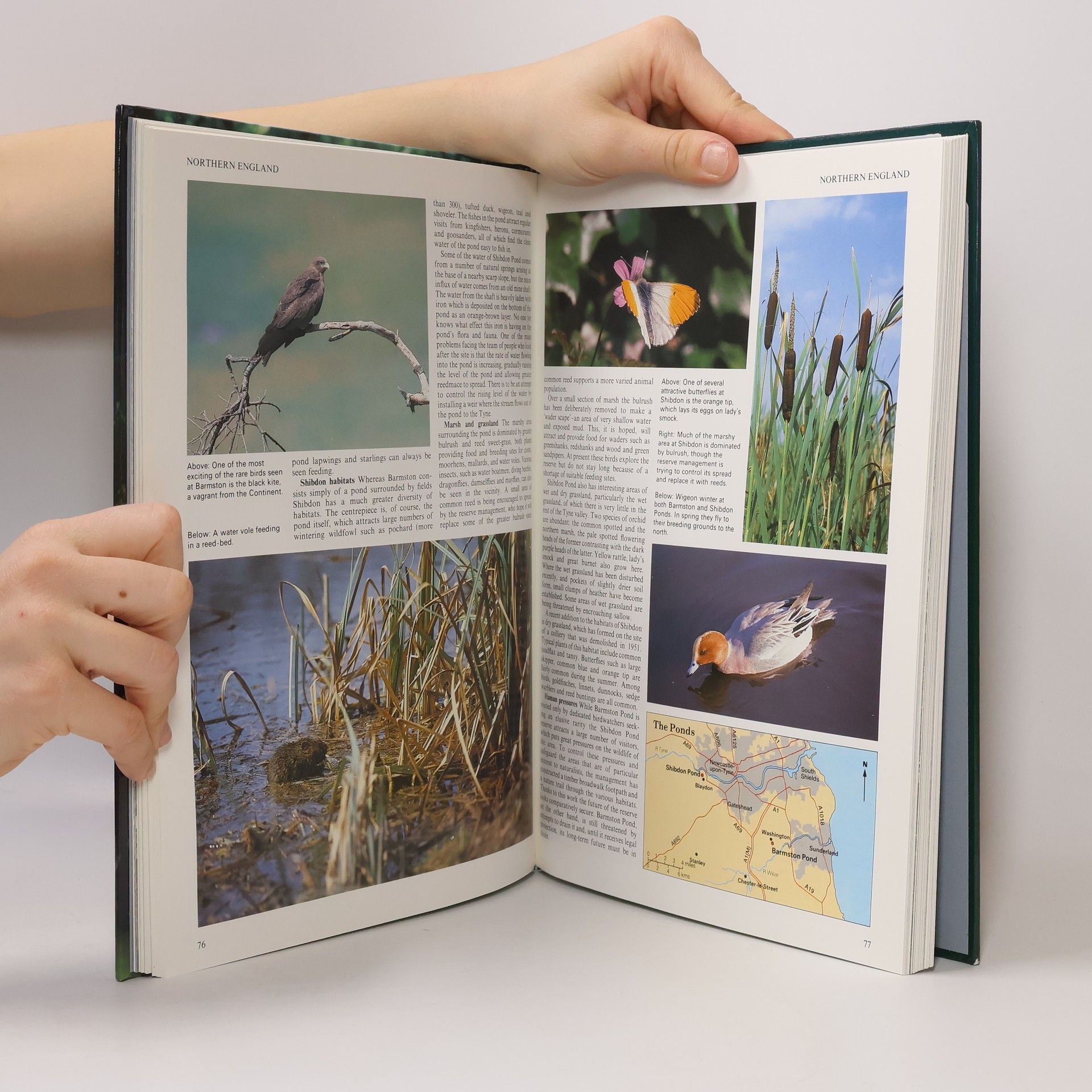 Various authors Havens of the Wild