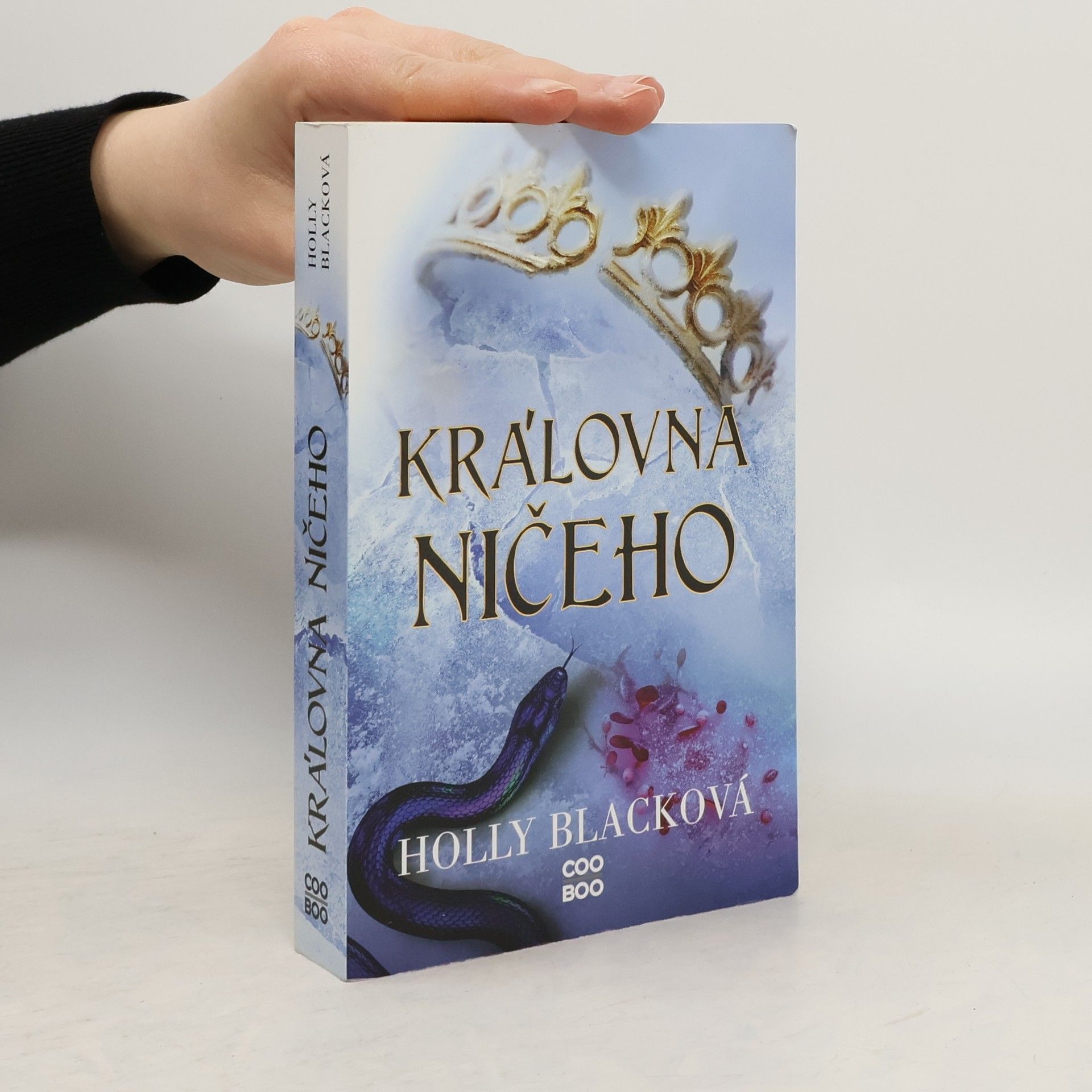 Holly Black Královna ničeho