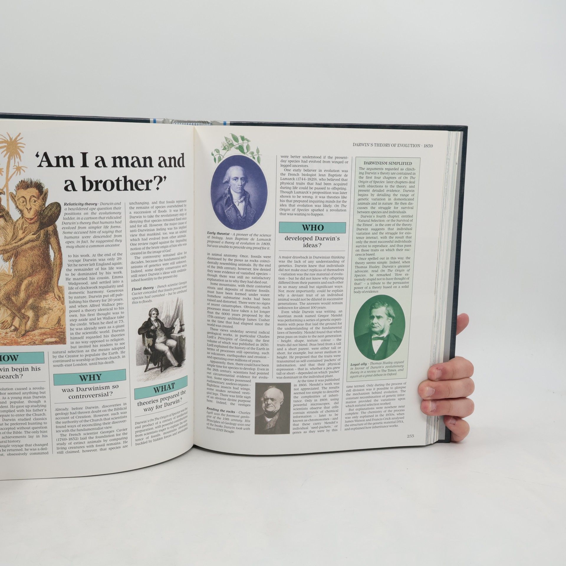 Autorenkollektiv When, Where, Why, and How It Happened